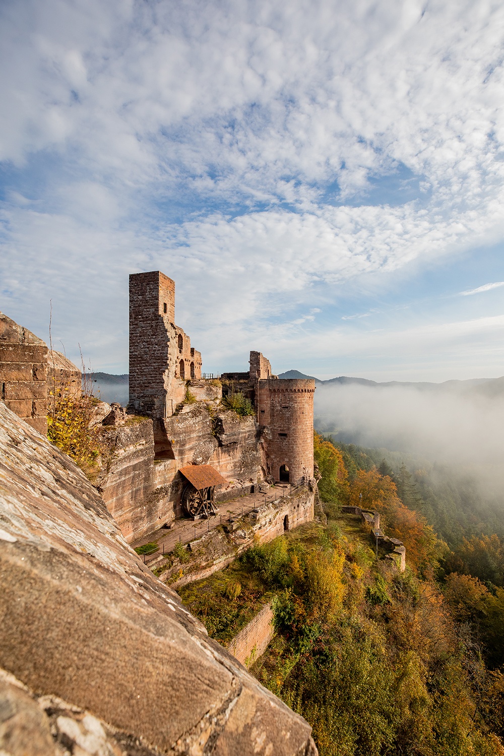 Massif des châteaux d'Altdahn - randonnée guidée