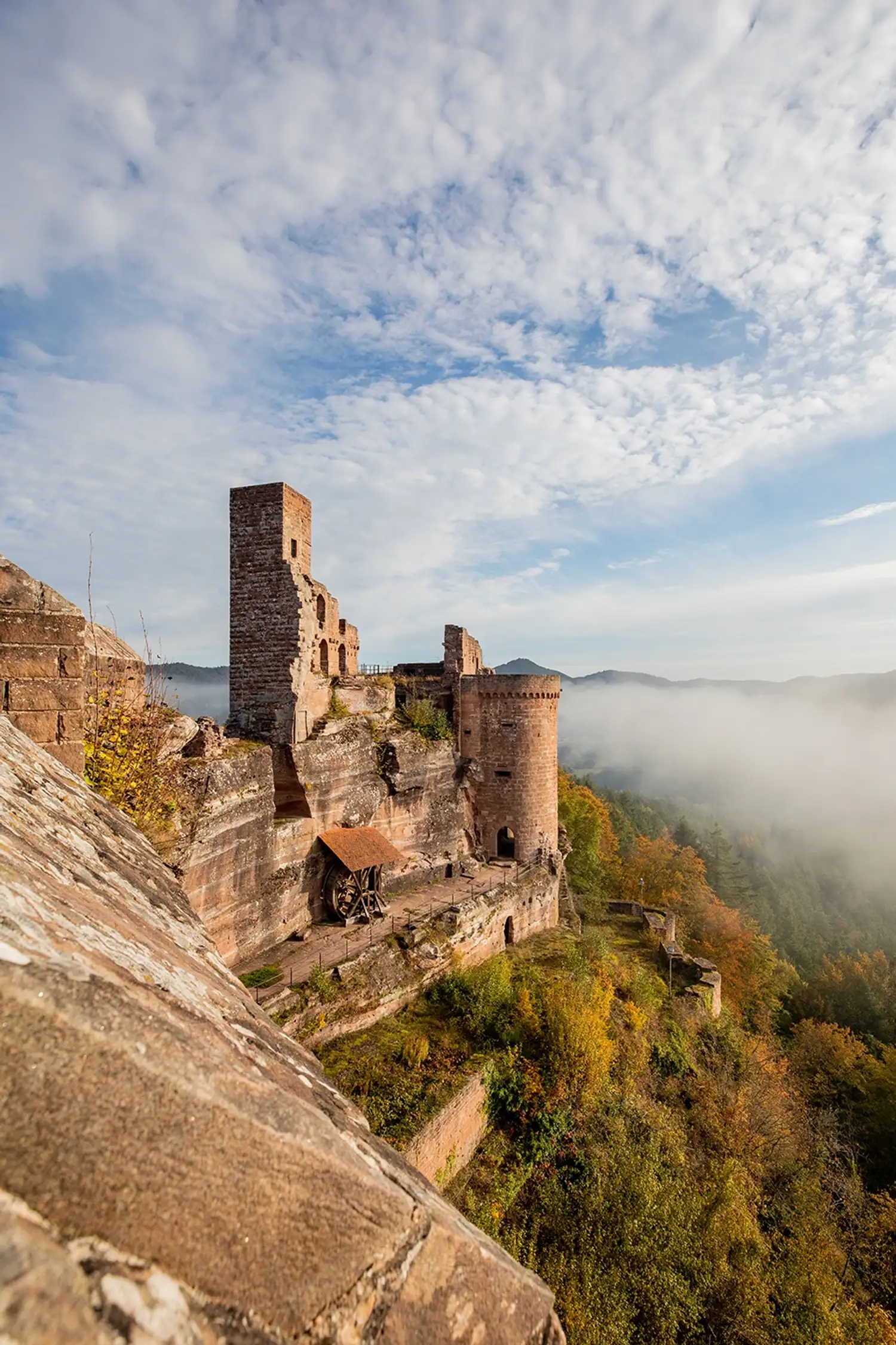 Massif des châteaux d'Altdahn - randonnée guidée