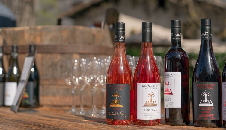 Vinosophische Führung im Kränzelhof 