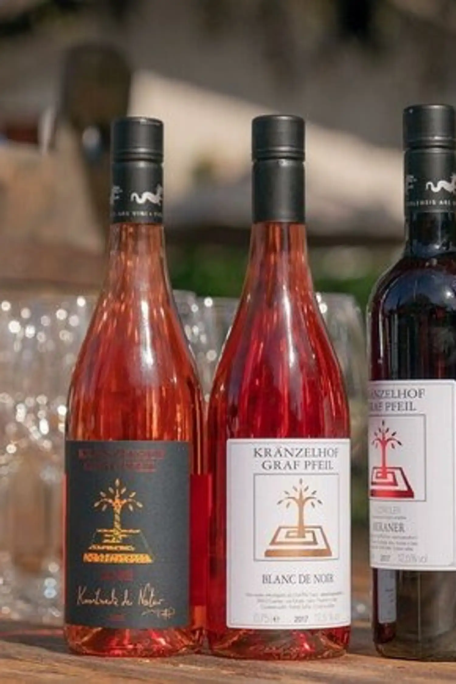 Wine Tasting Tour at the Kränzelhof