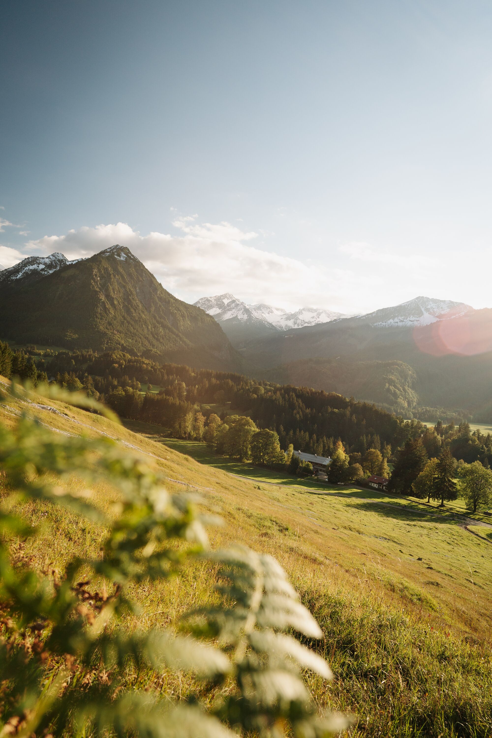 Guided Hike  "From Alpe Eschbach to Petersalpe and Back"