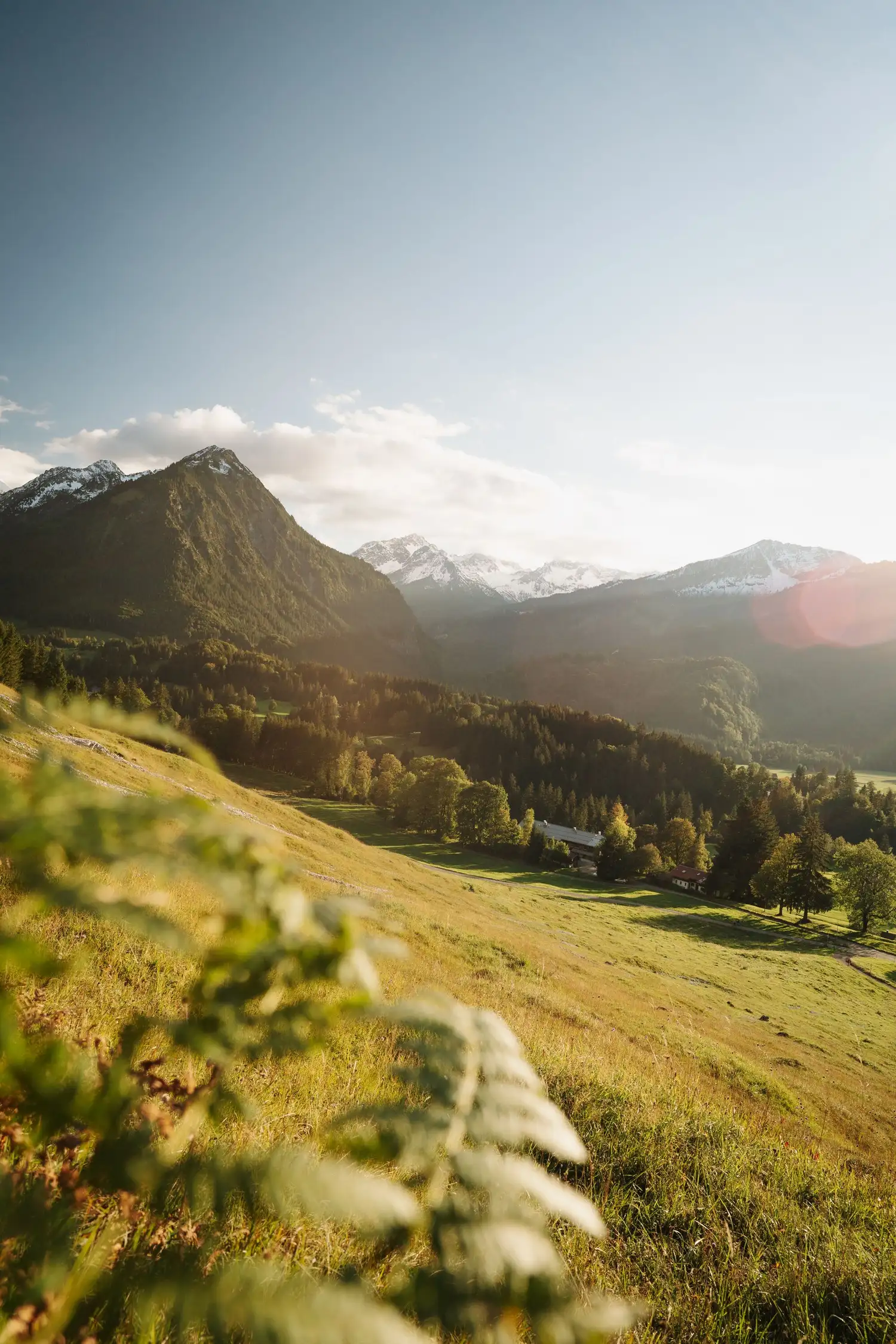 Geführte Wanderung  "Von der Alpe Eschbach zur Petersalpe und zurück"