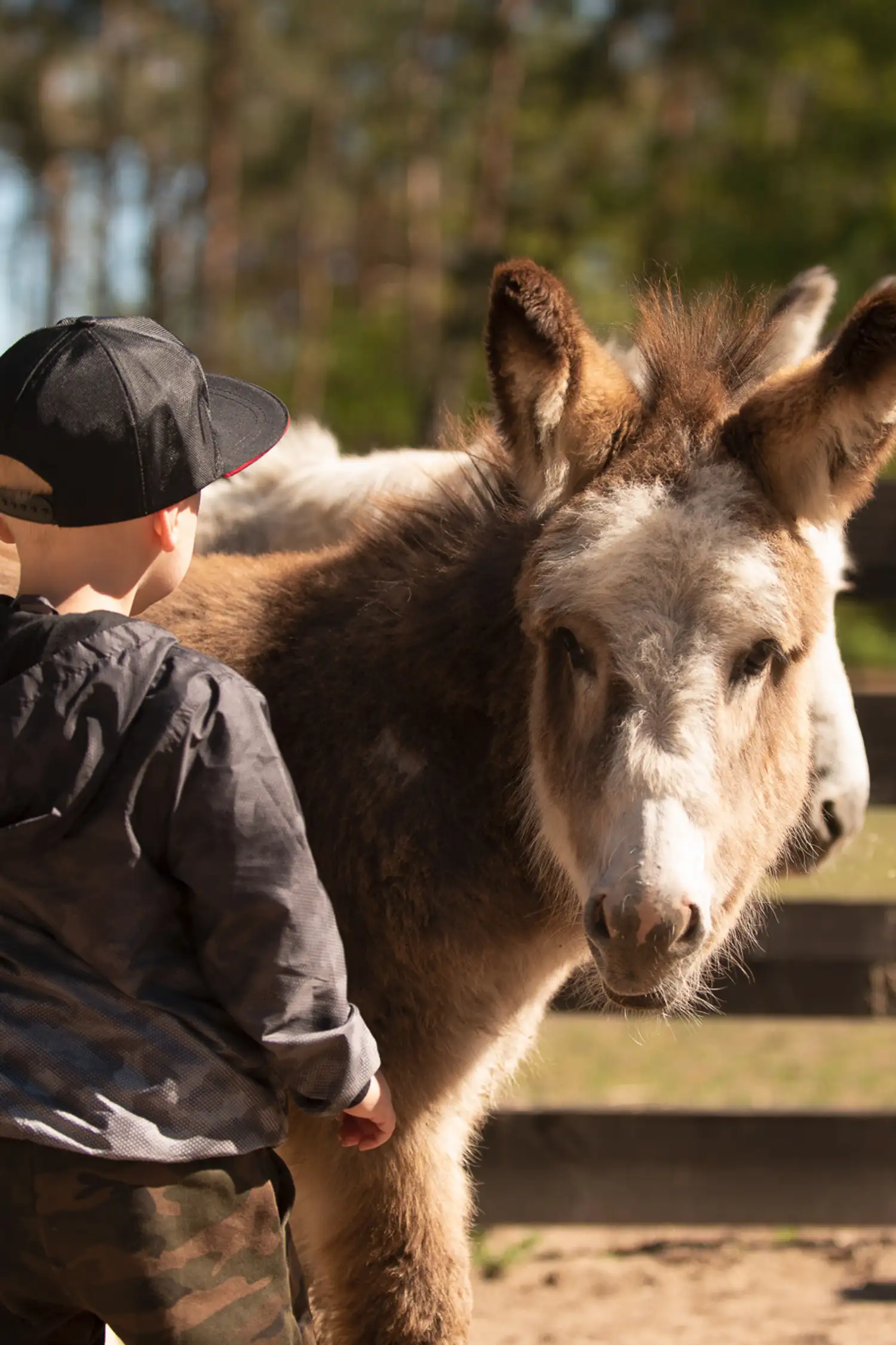 Animal Caretaker Day