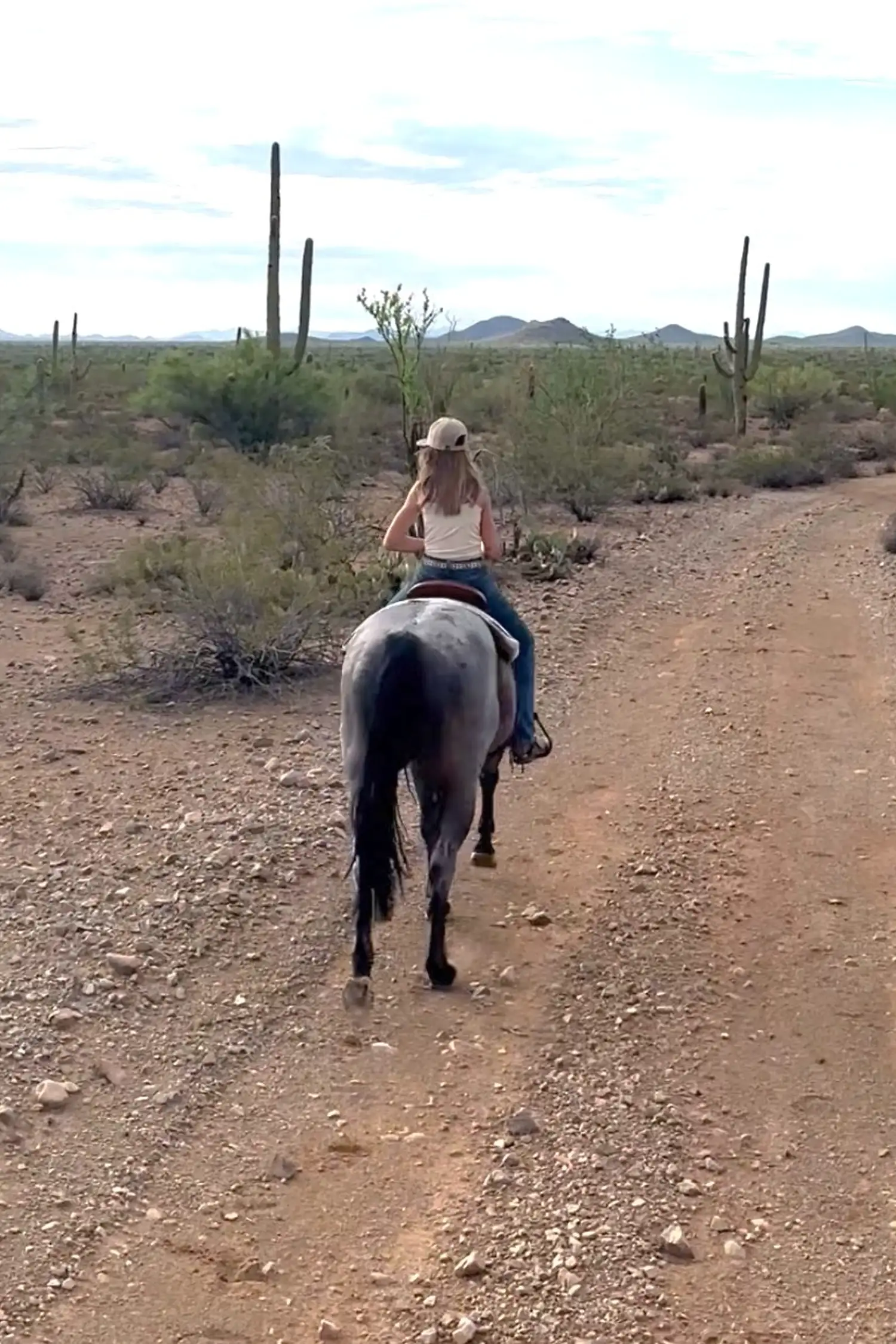 Horseback Riding 