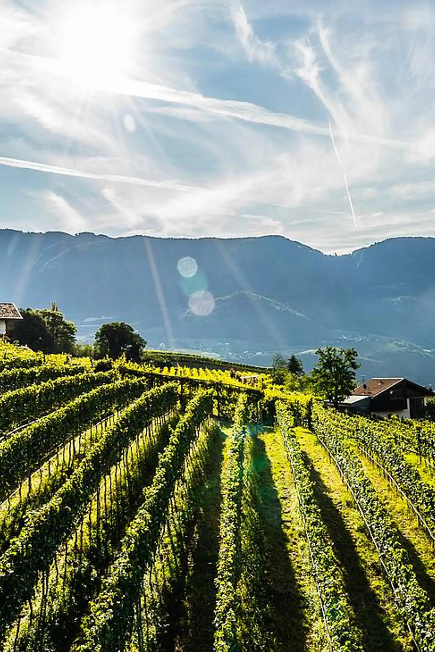 Top Events in the Merano Region / Passeier Valley