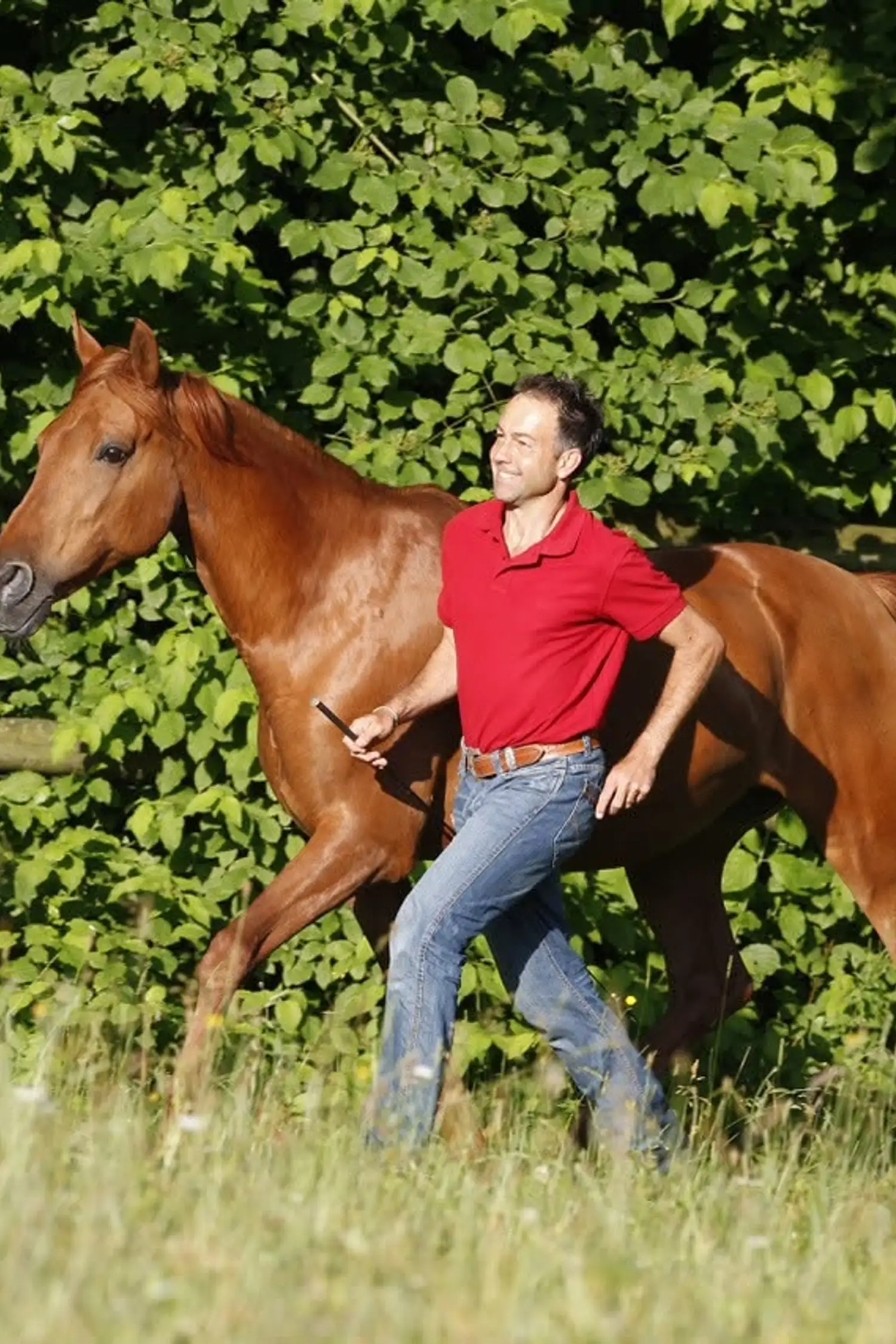 Reitunterricht & Longestunde