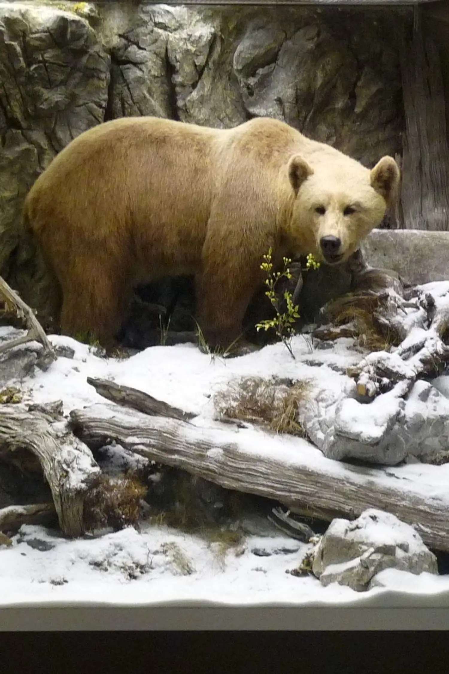 Naturmuseum Salzkammergut – Treffpunkt Natur