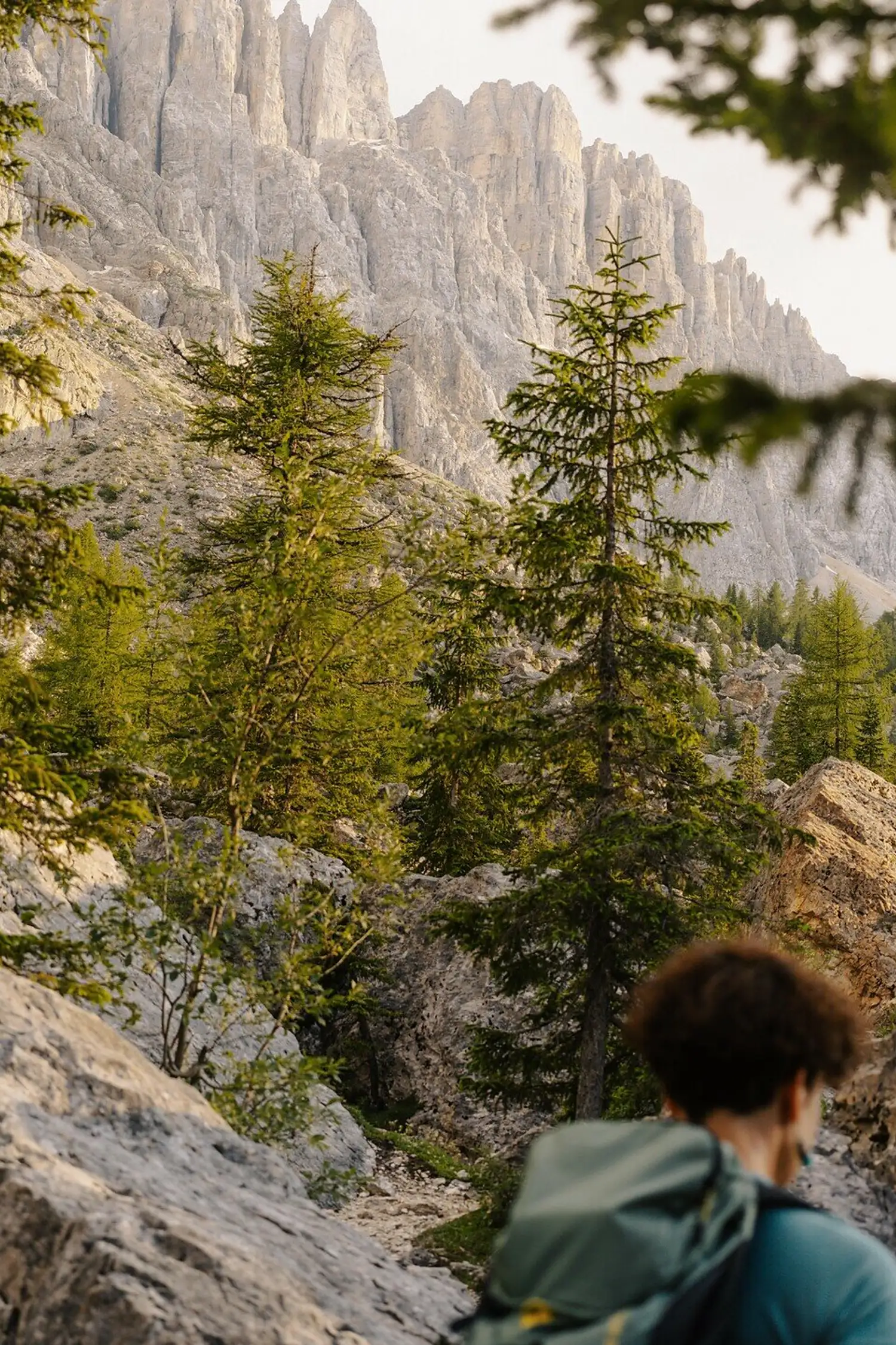 A Legendary Hike Through the Latemar Rock Labyrinth