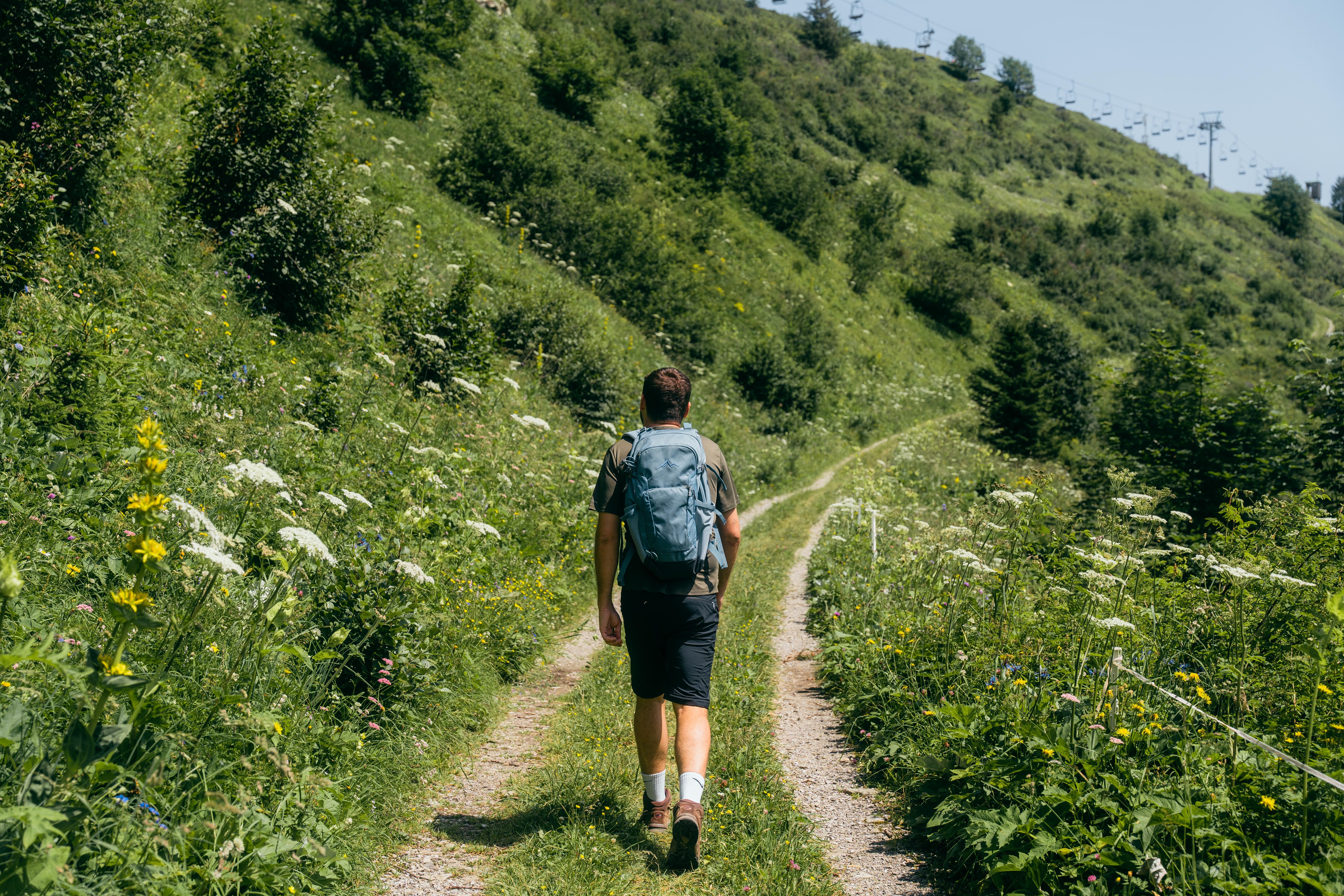 Halbtageswanderung in Damüls und Umgebung mit Wanderführerin Zita Sohm