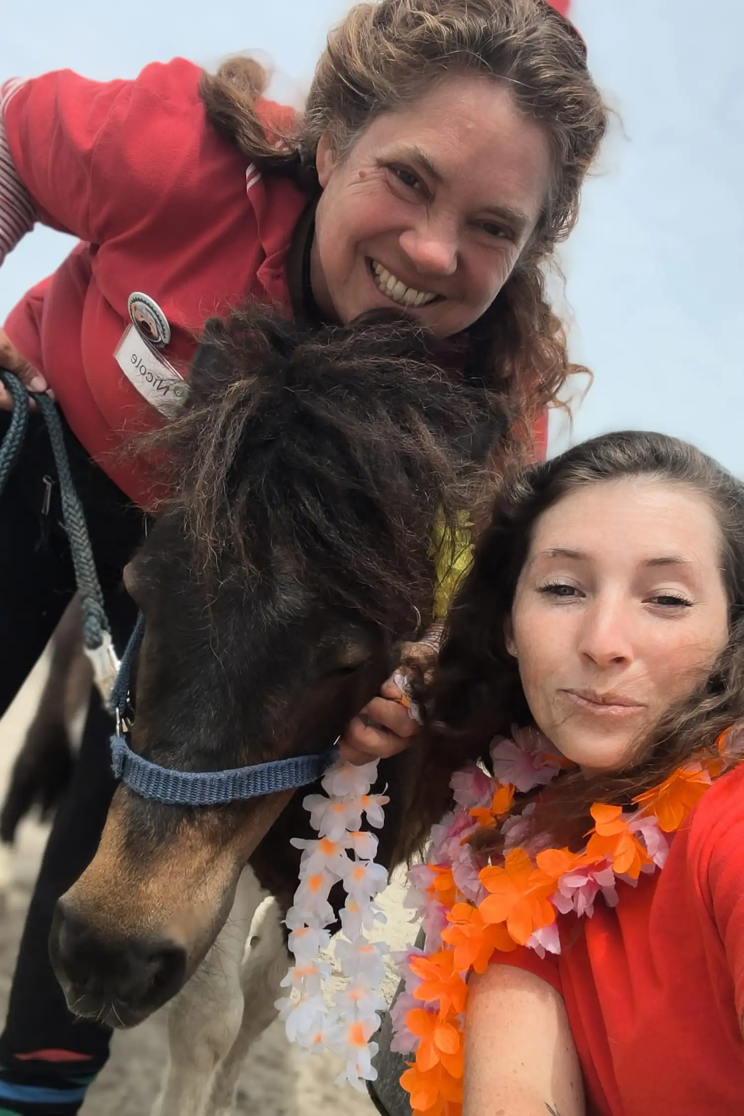 Rund ums Pony🐴