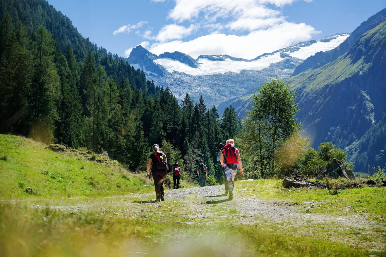 Guided ranger tour - Into the valley of emeralds