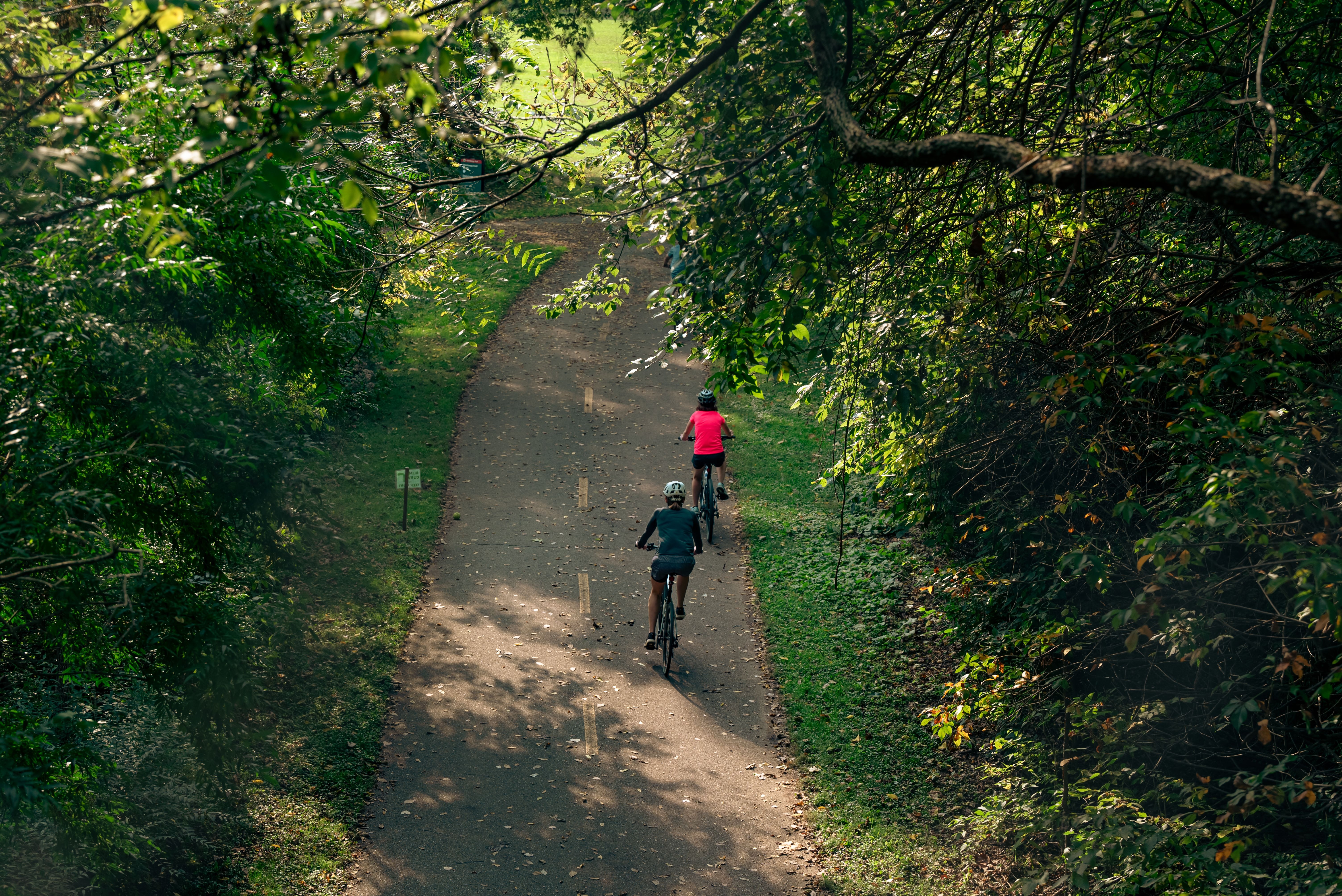 Guided Mountain Bike Tour