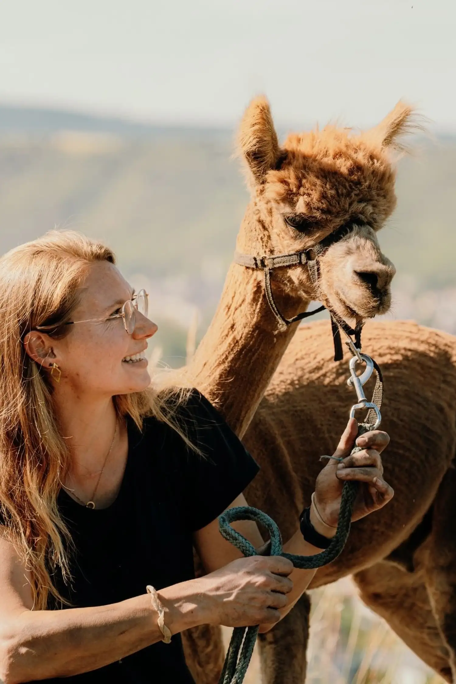 Alpaka Wanderung mit Linda