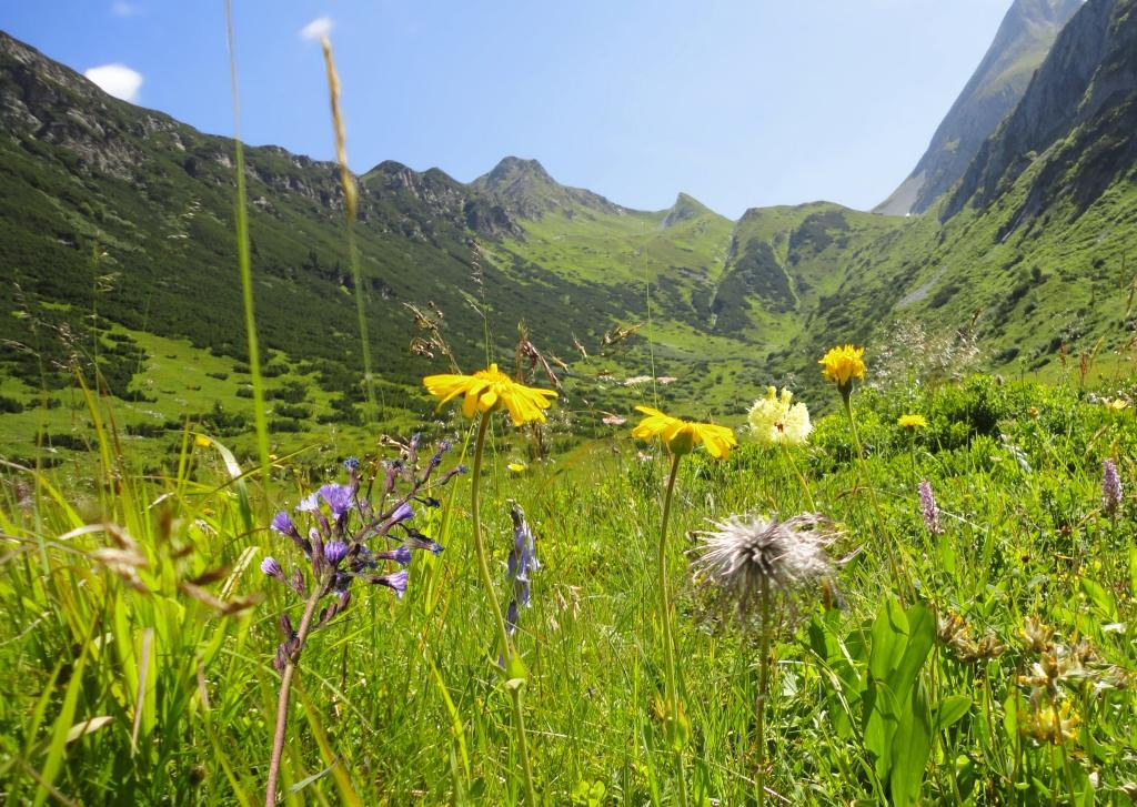 Zum Blumenreich am Kolmhaus