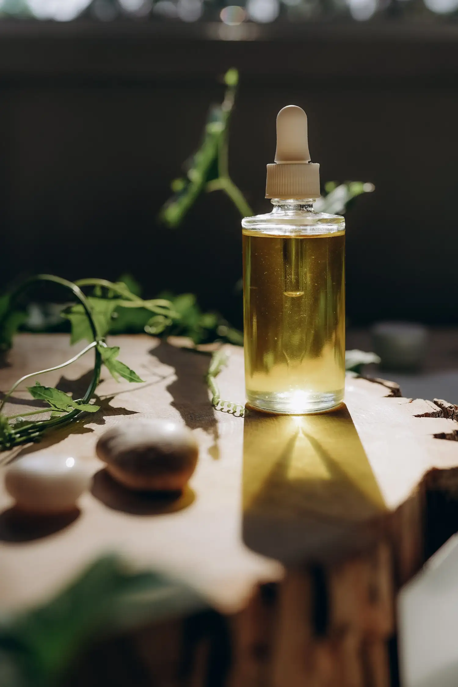 Ayurveda-Behandlungen – ganzheitliche Entspannung für Körper und Geist