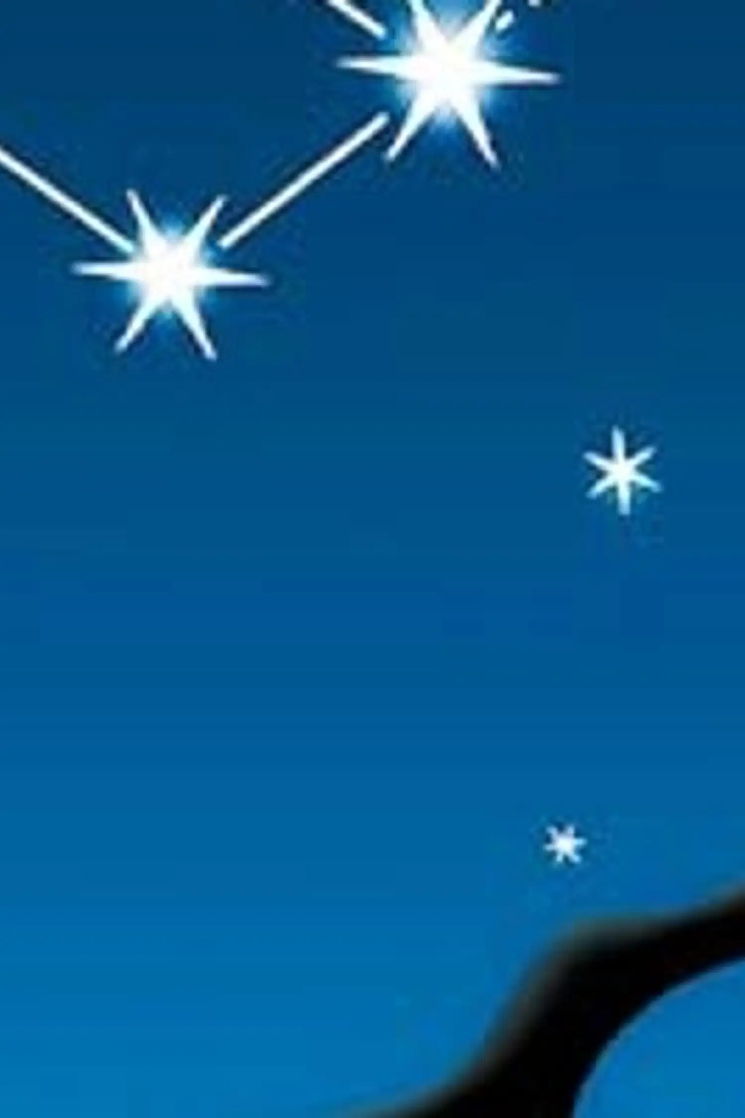 A Constellation for Flappi - An Animal-Themed Story About the Stars