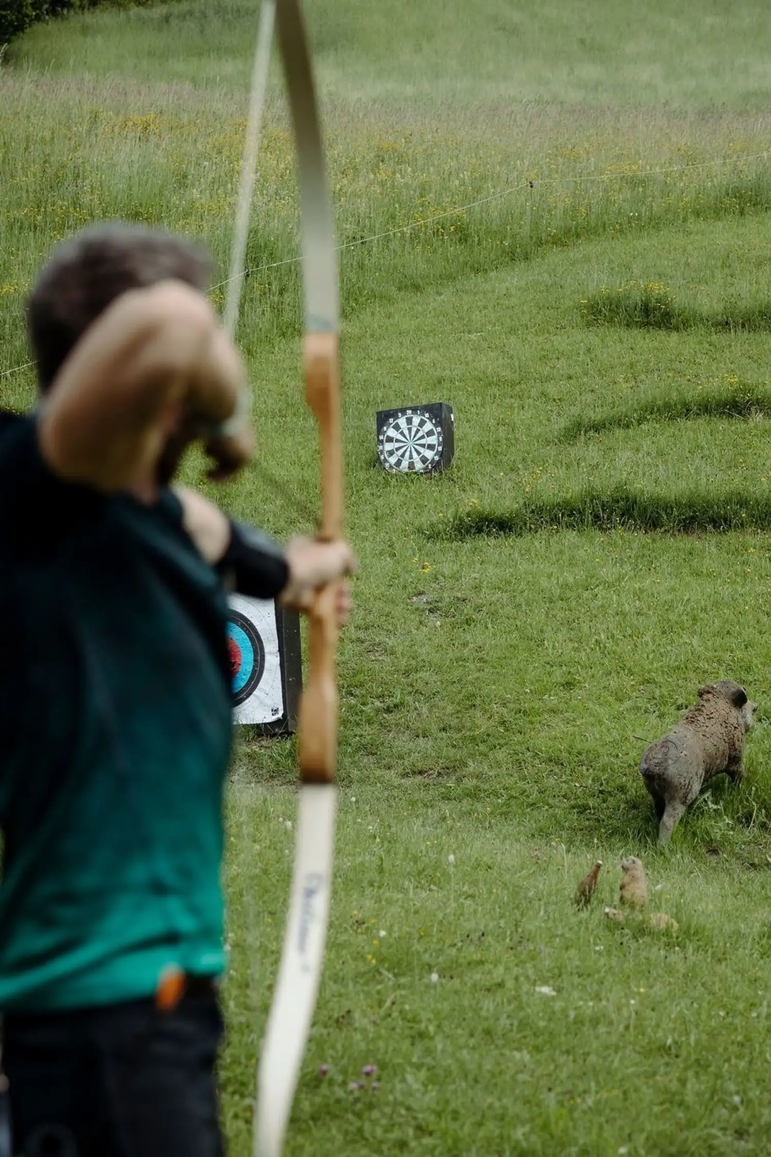 Bow hunting Alpendorf