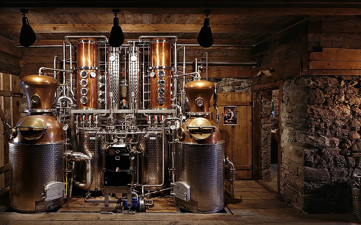 Guided tour of the mountain distillery