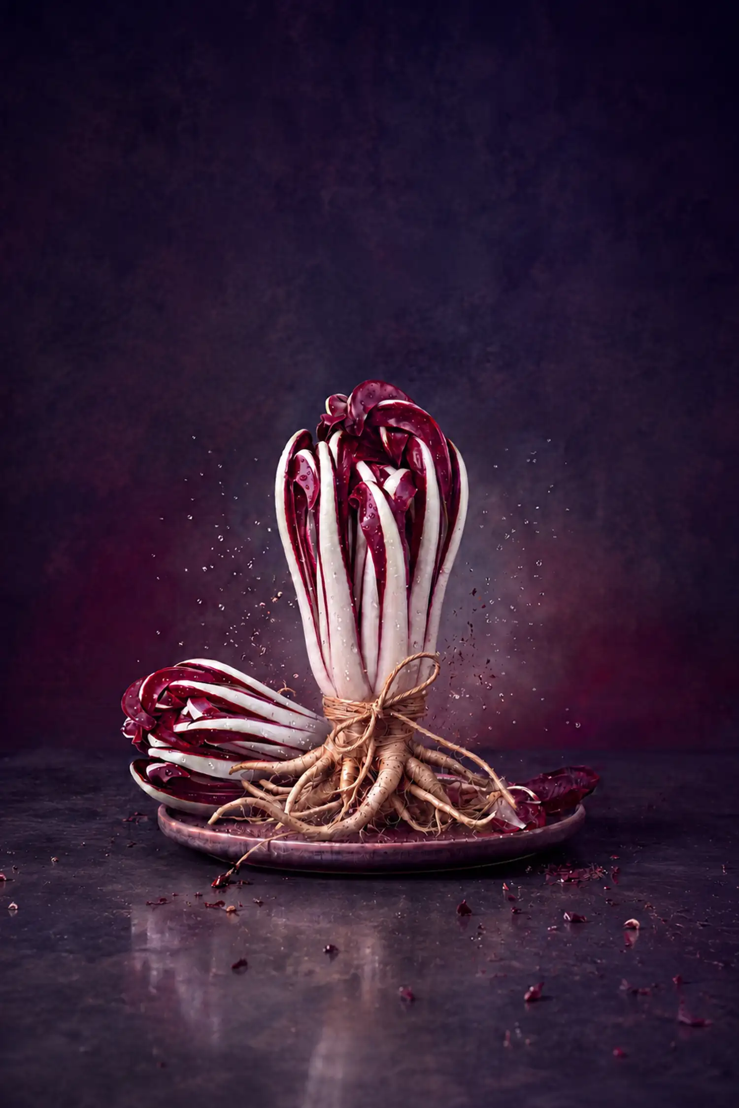 Herbstgenuss - Radicchio Tardivo