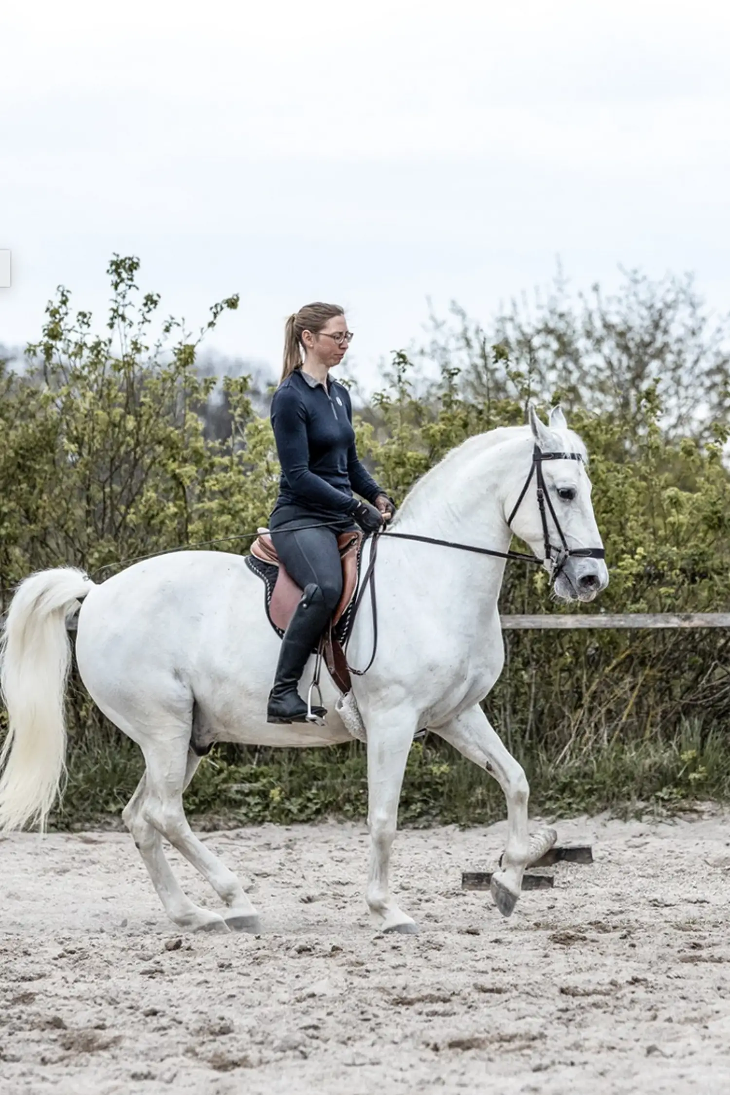 Reitkurs klassische Dressur
22.-23.08.2026