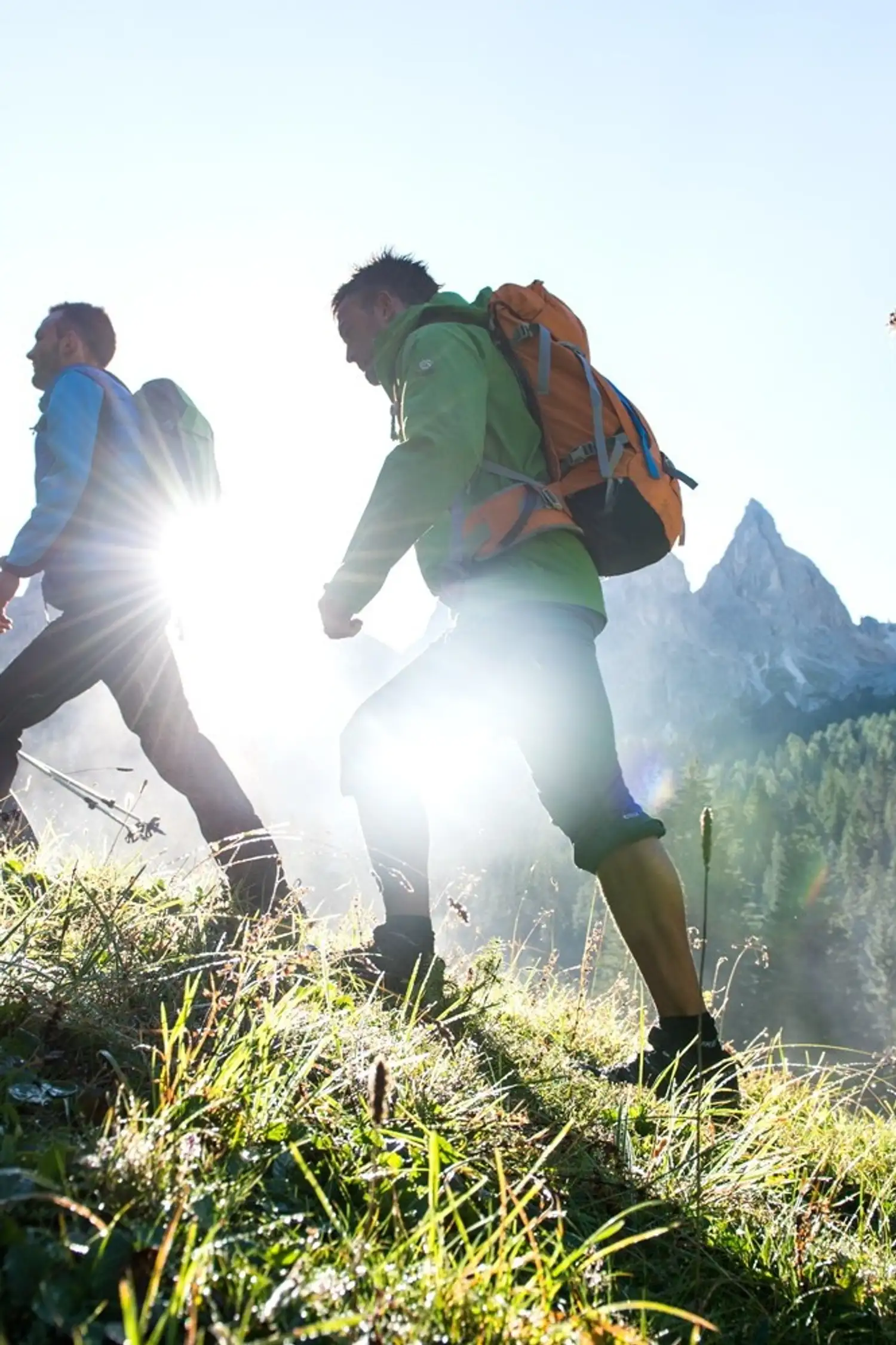 Escursione in vetta - Hochwart Stuls 2.608 m