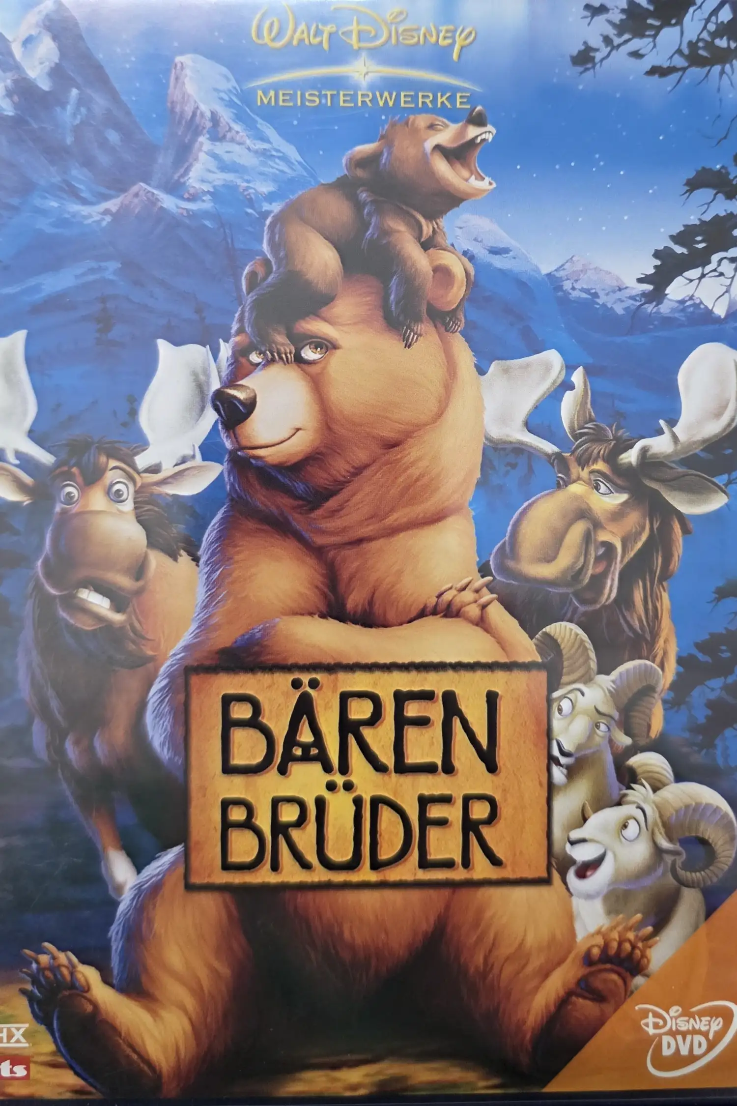 Bärenbrüder