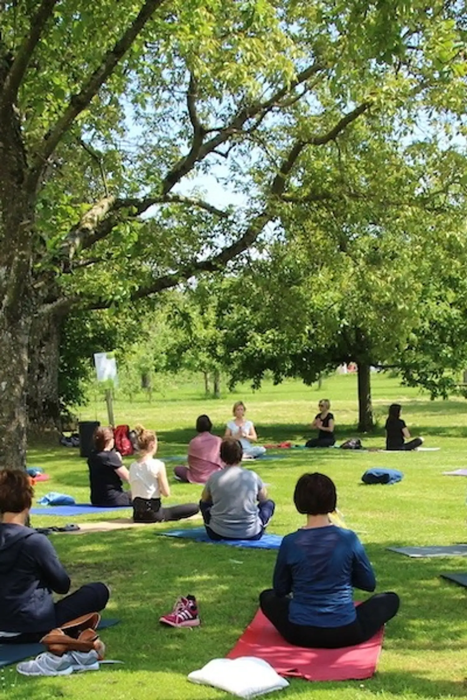 Hatha Yoga - with Katrin