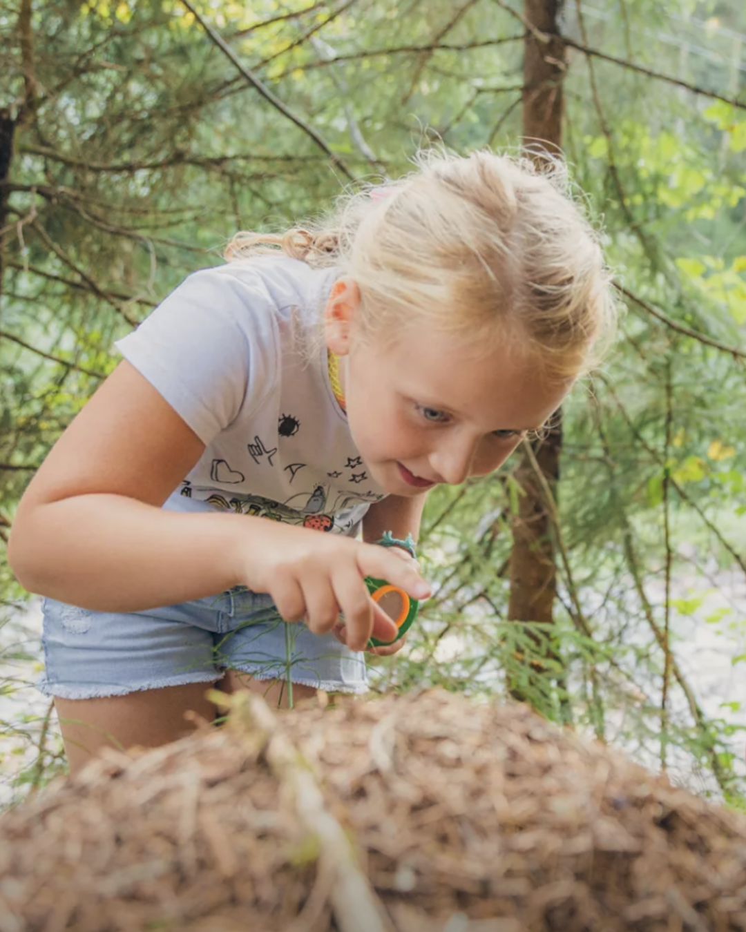 Children's Play Forest Discovery Tour