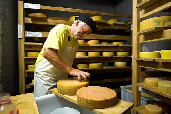 Formaggi della malga Hagneralm