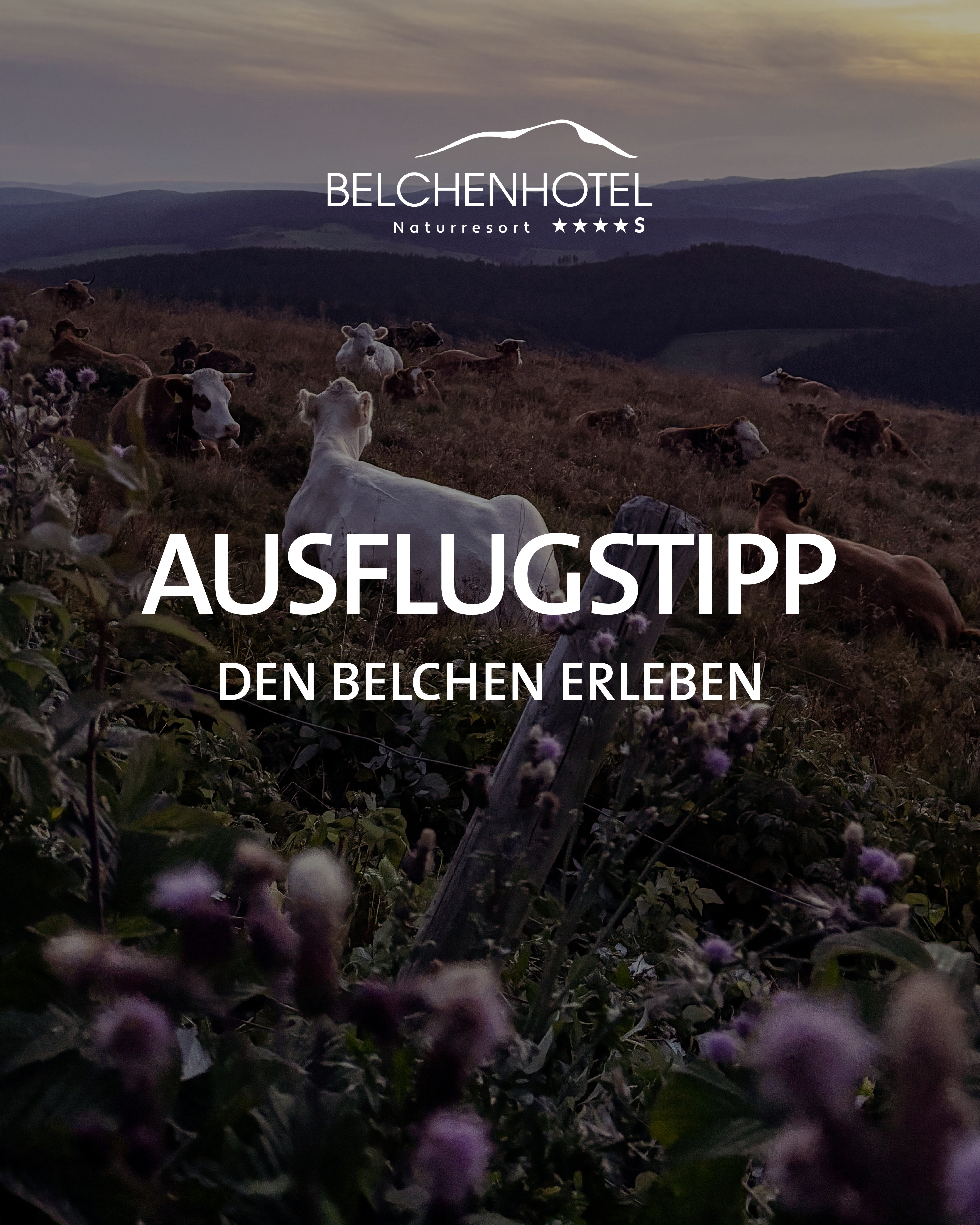 Excursion tip - Experience Belchen region