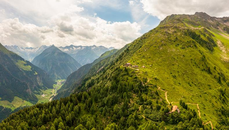Durch alpinen Urwald zur Gamshütte