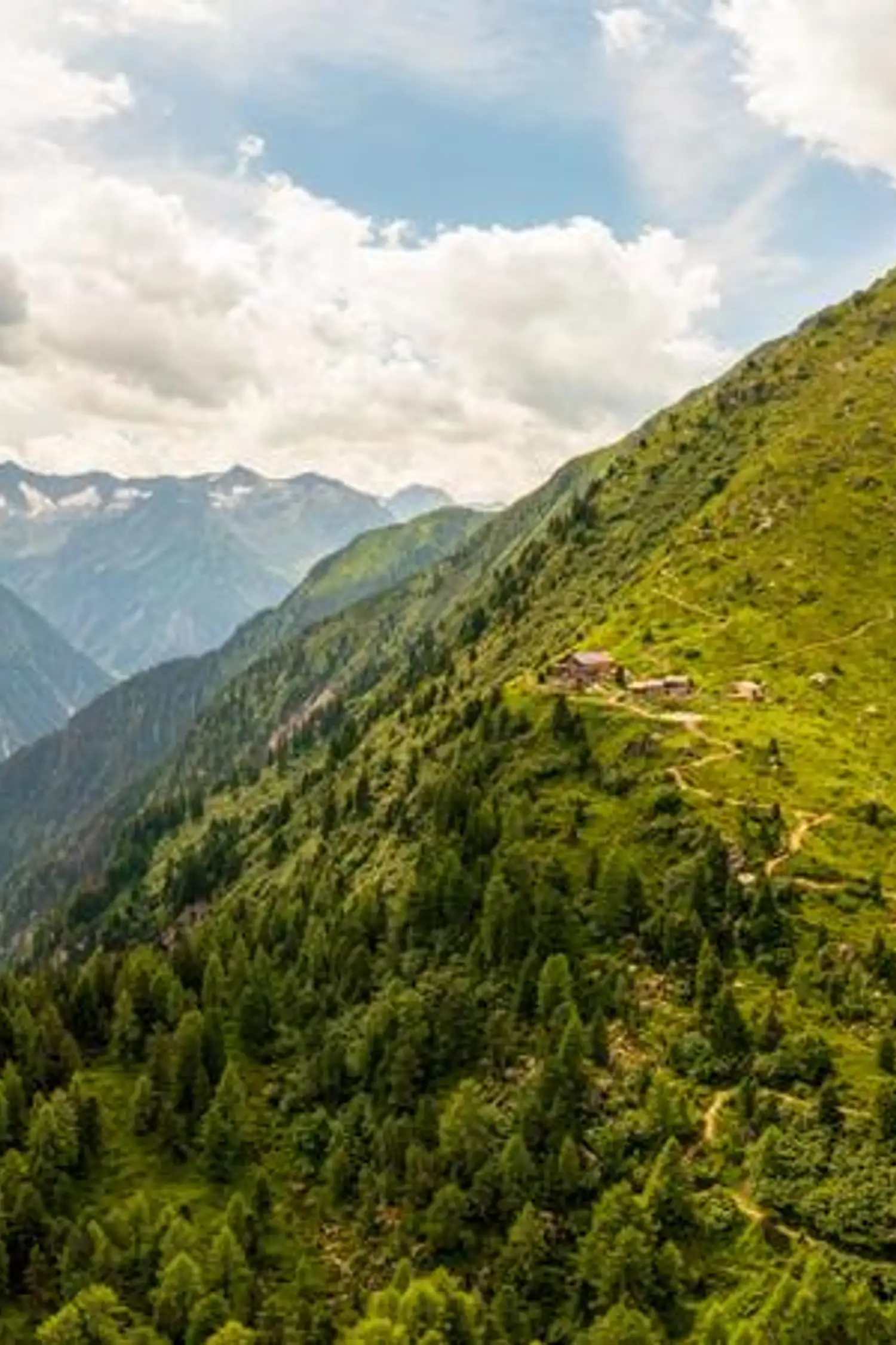 Durch alpinen Urwald zur Gamshütte