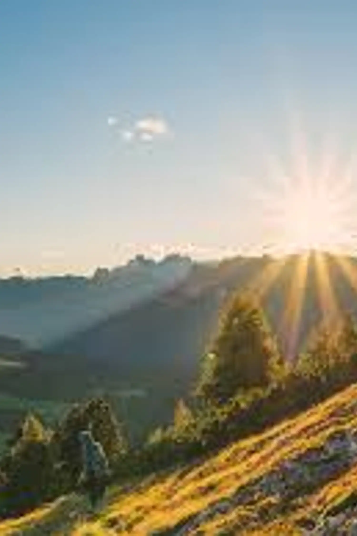 Sunrise hike in the catinaccio with breakfast