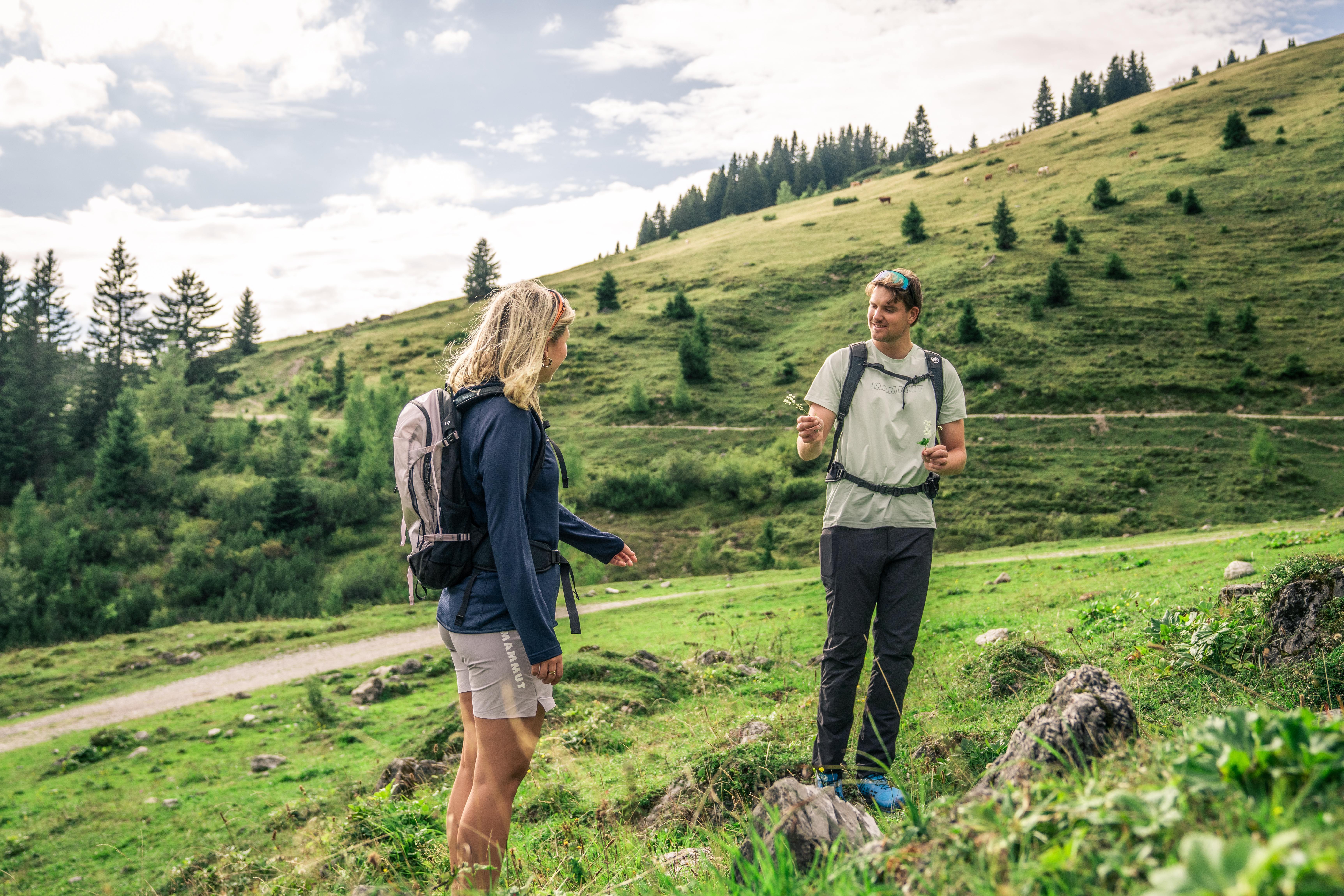 Kräuter entdecken in Kleinarl – geführt, ruhig, regional