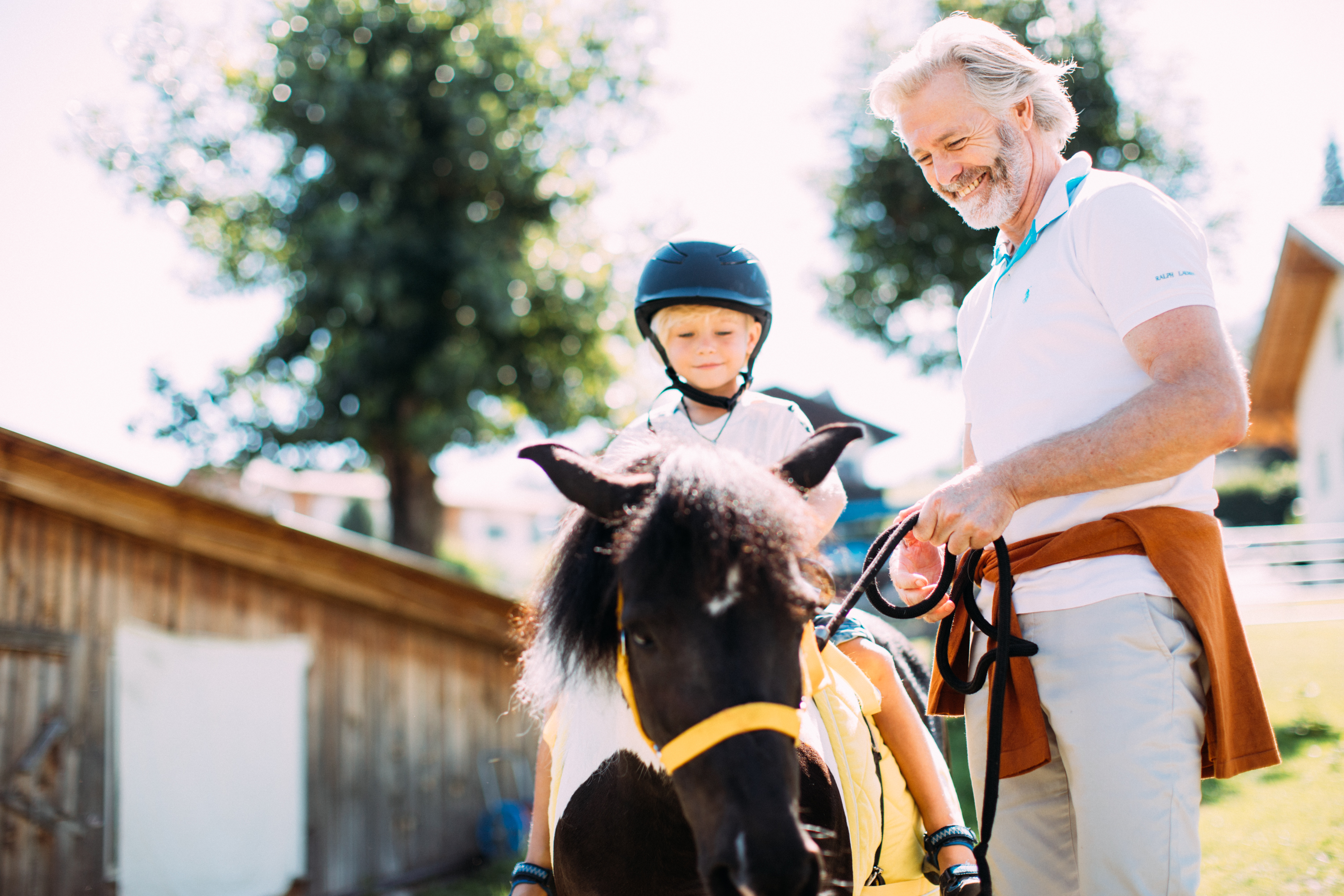 Pony Rides 