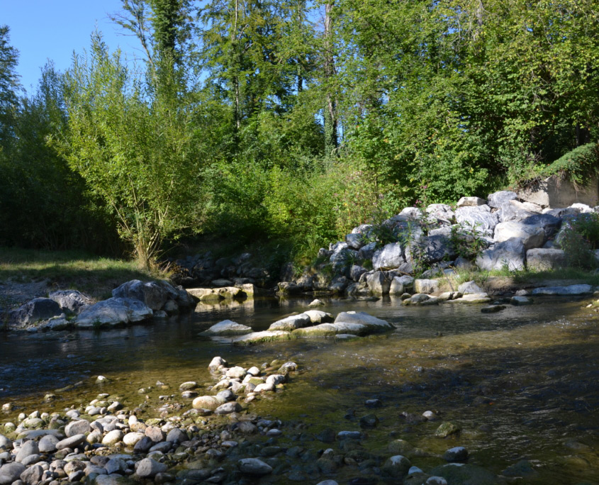 Meditation Hike – Finding Inner Peace Through the Power of Nature