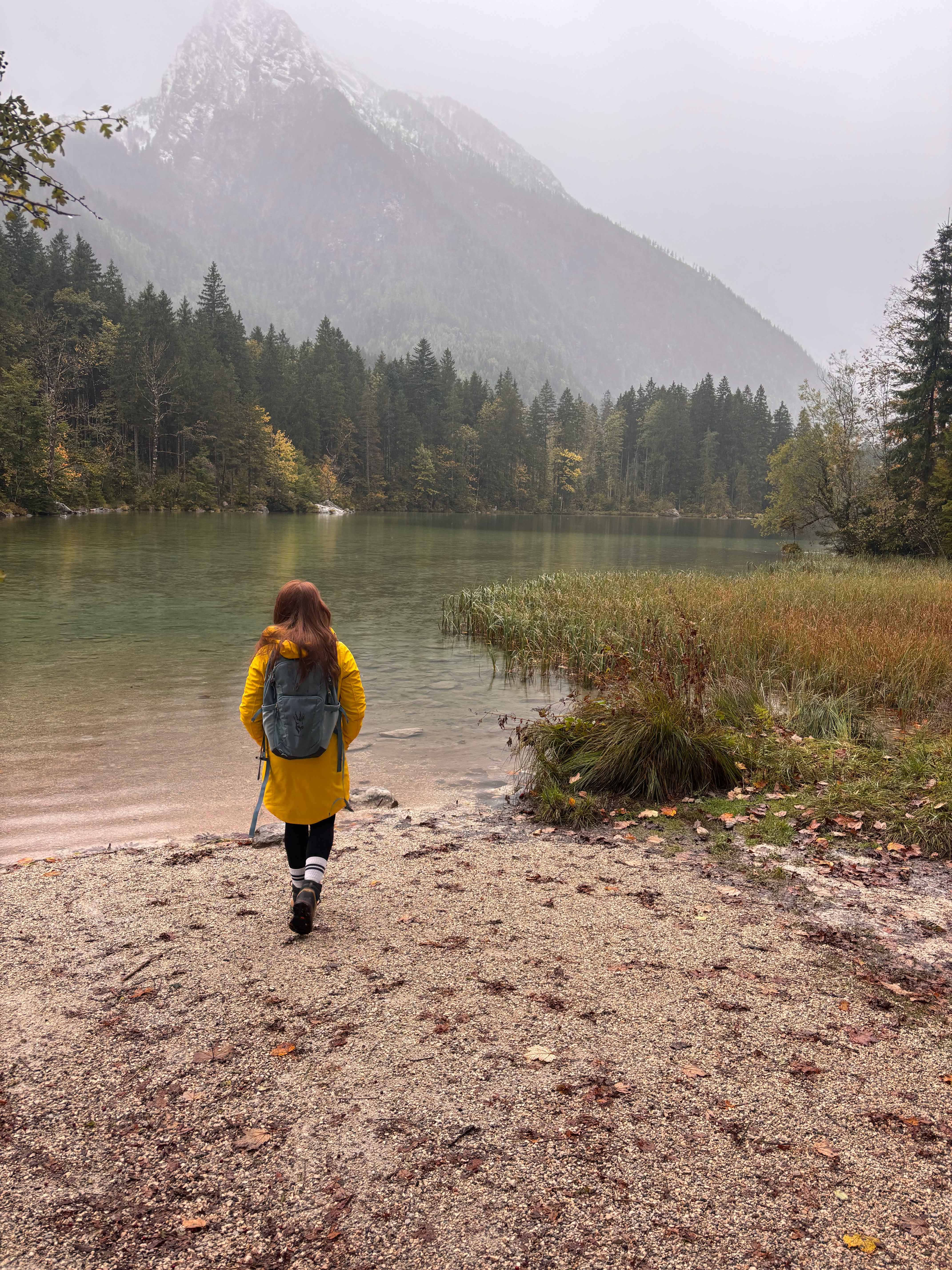 Mindful Nature Walk – Step by Step Toward Peace