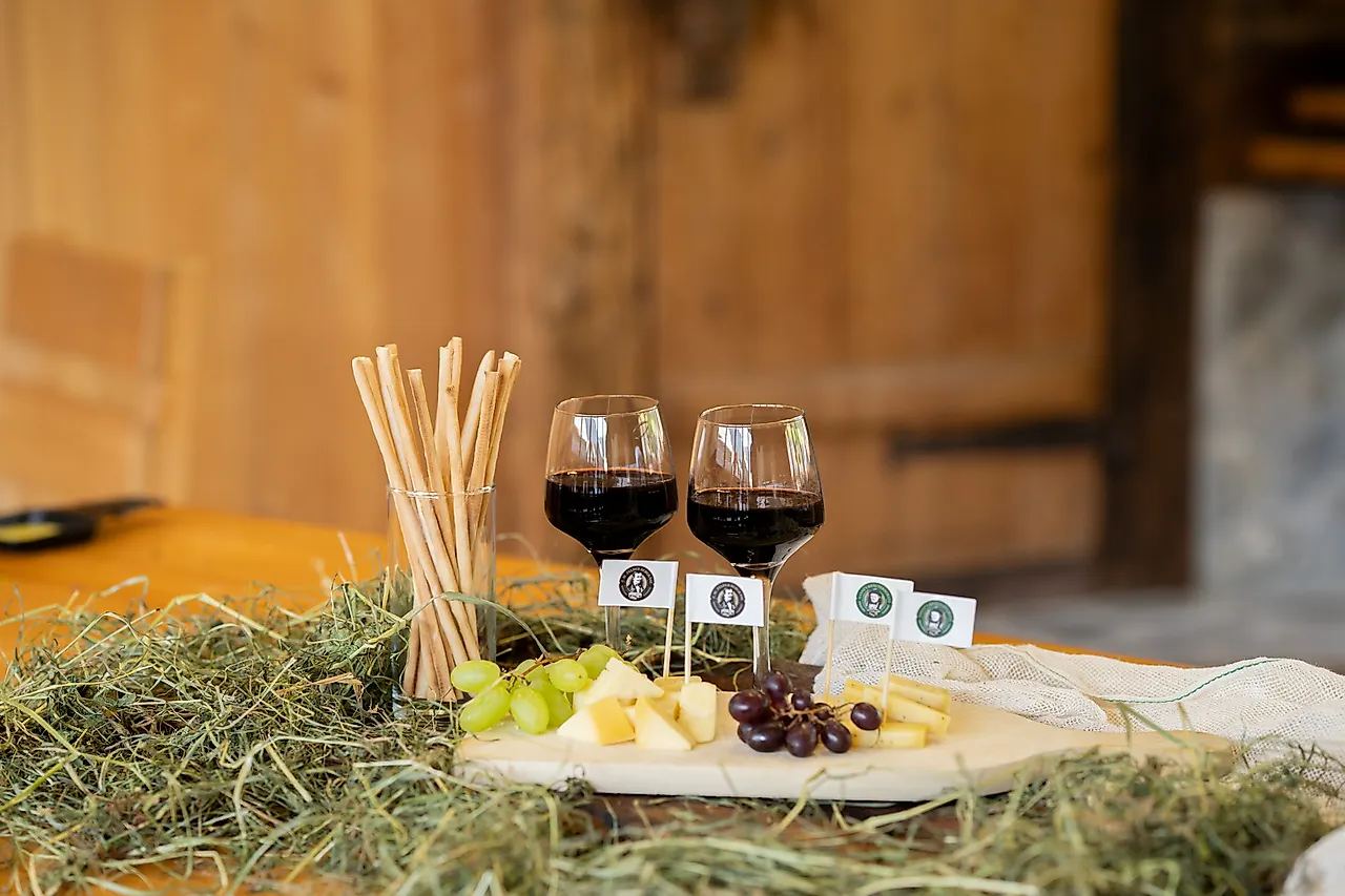 Cheese & wine enjoyment