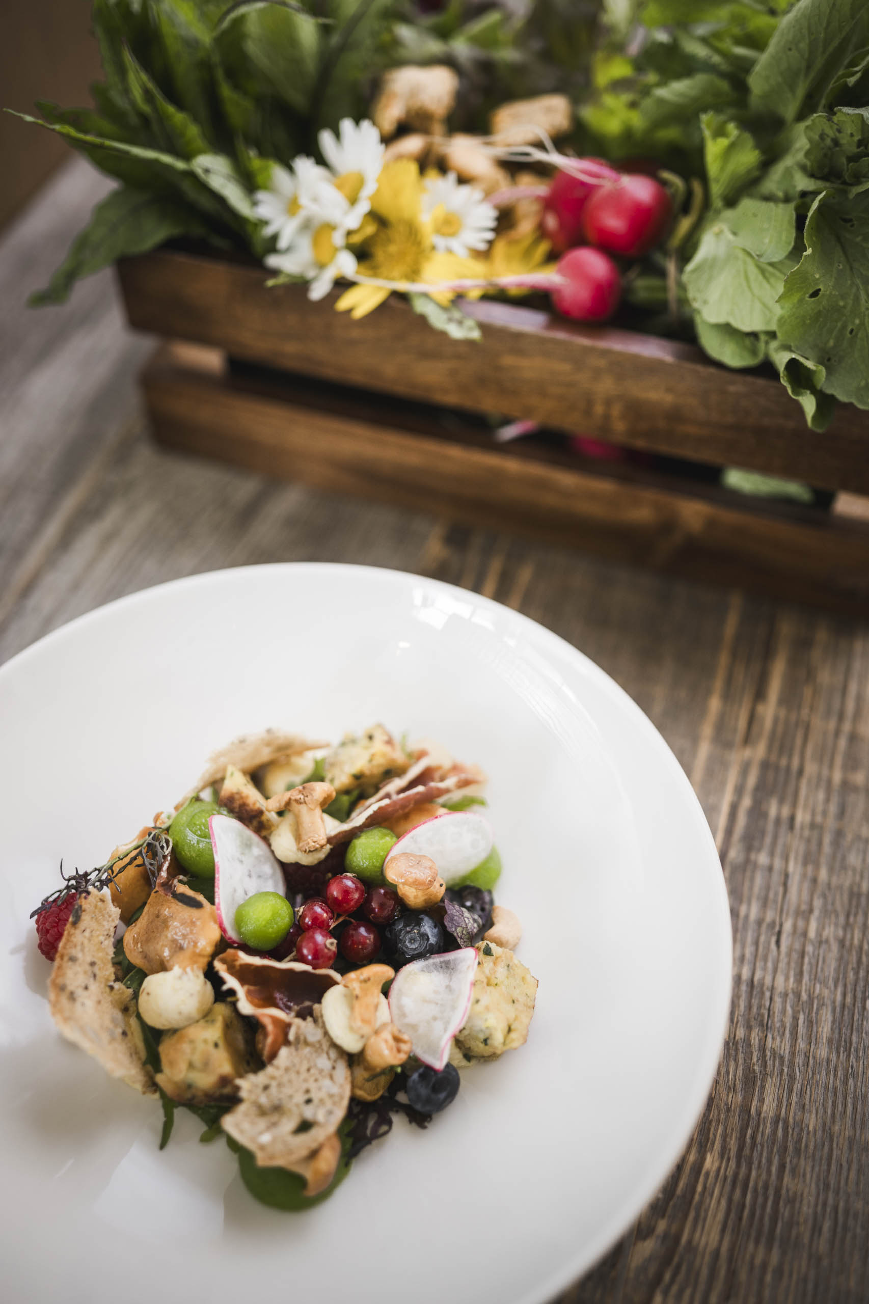 Novità: menù vegano