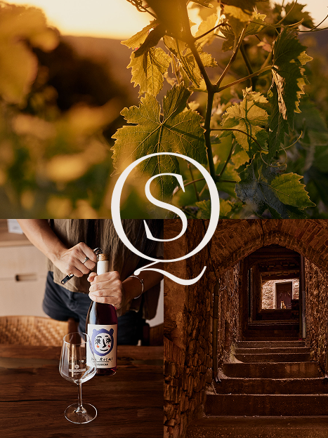 Vin sans fin this time with Cristina Bleuler from Cantina Squerciani—wine made in harmony with nature!