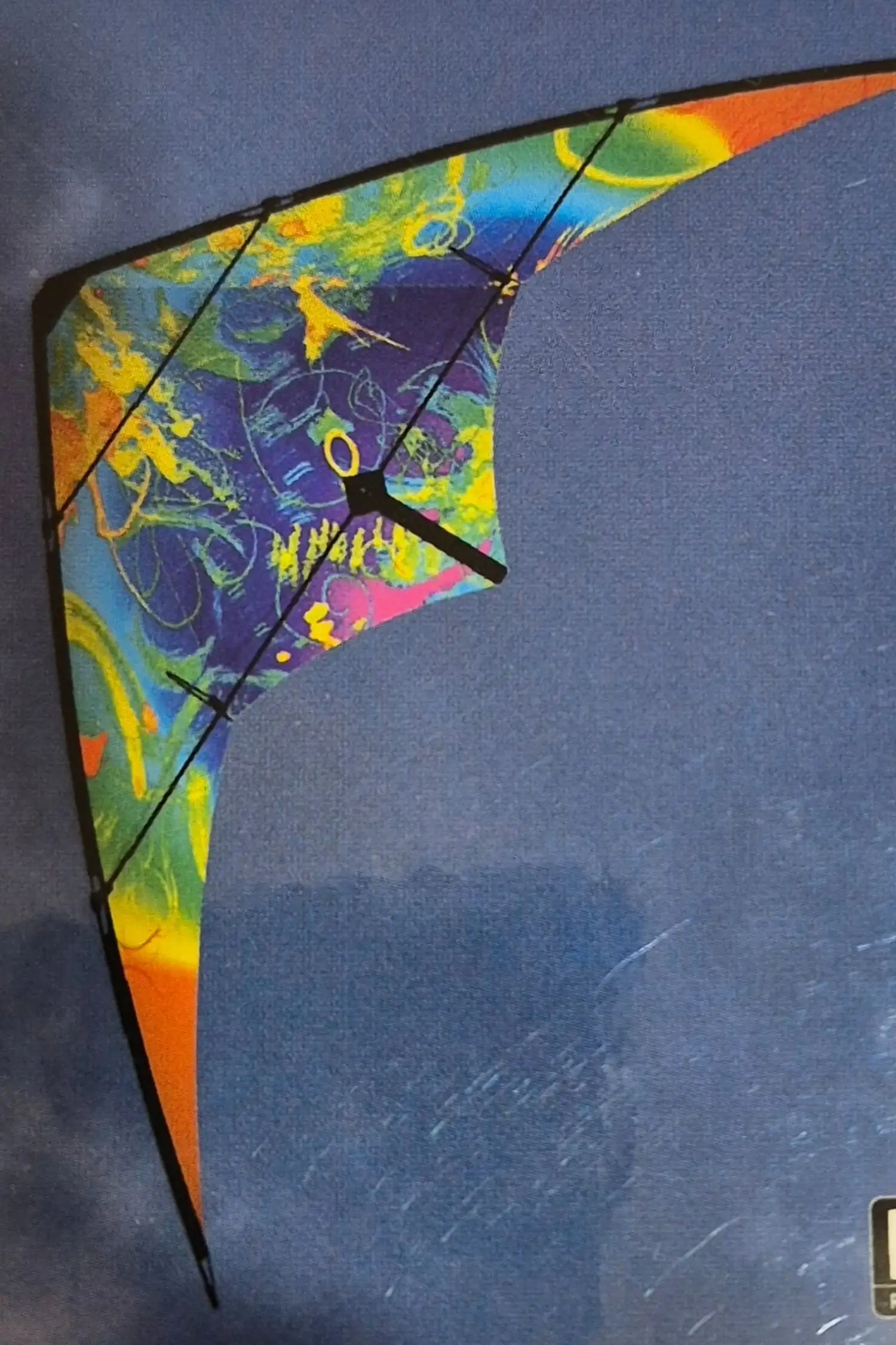 Fly Kite Rental