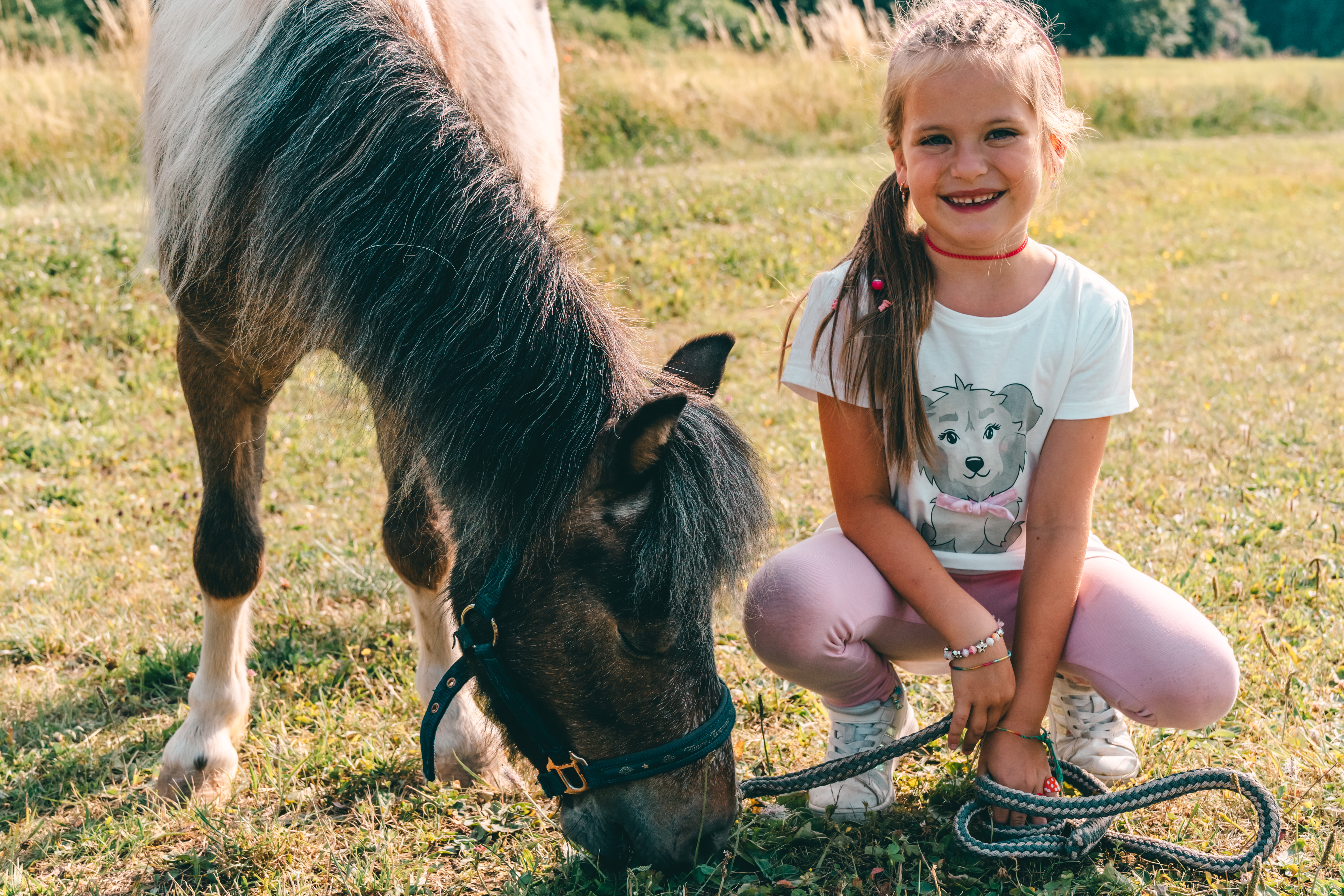Pony Hike