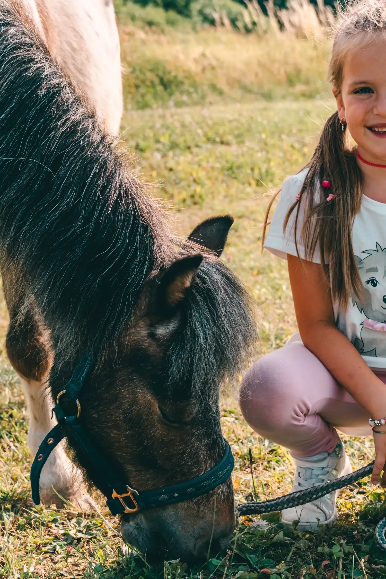 Ponywanderung