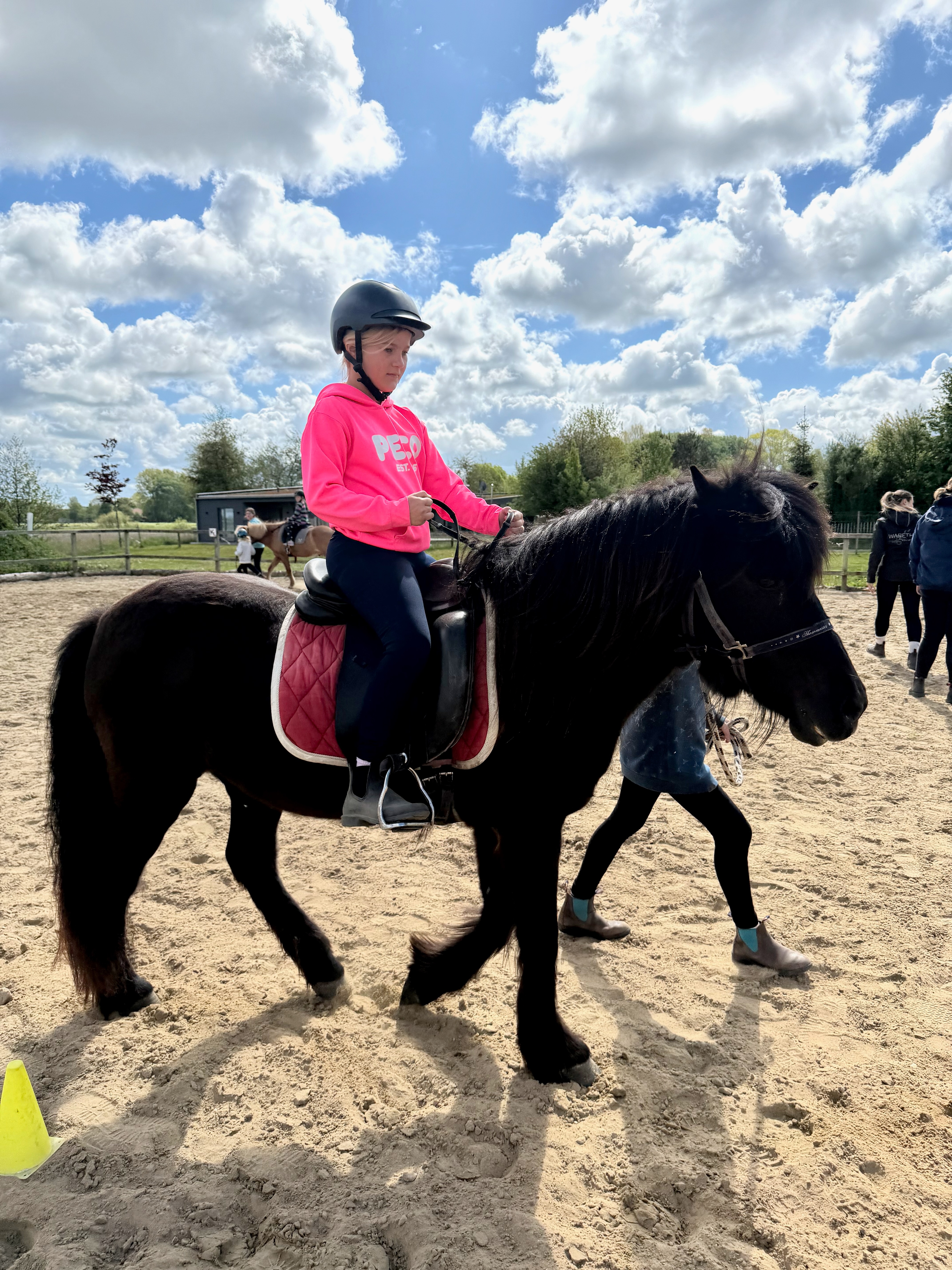 individueller Reitunterricht auf dem Reitplatz