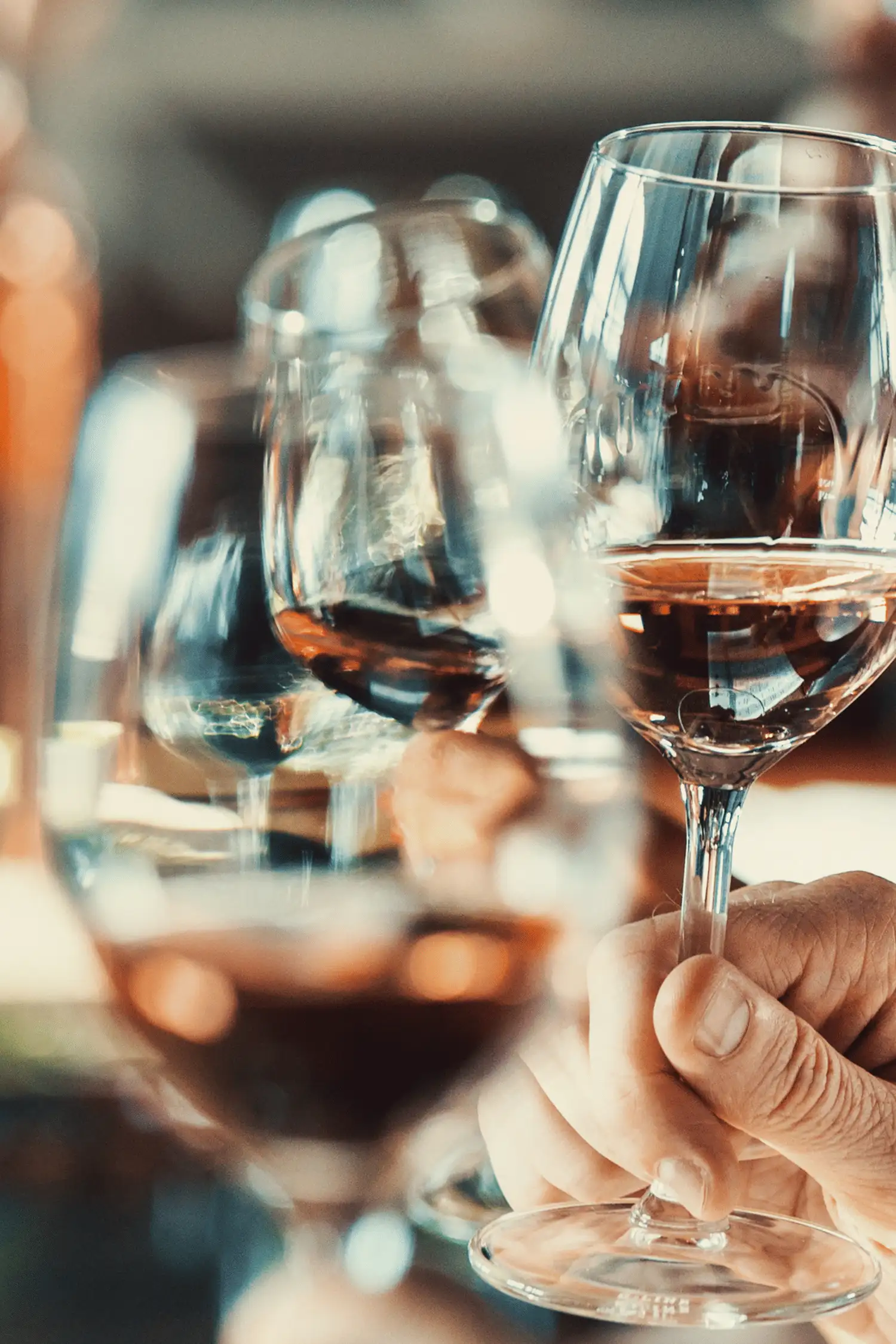Social event - 
"Weinprobe im Hotel Lipprandt"