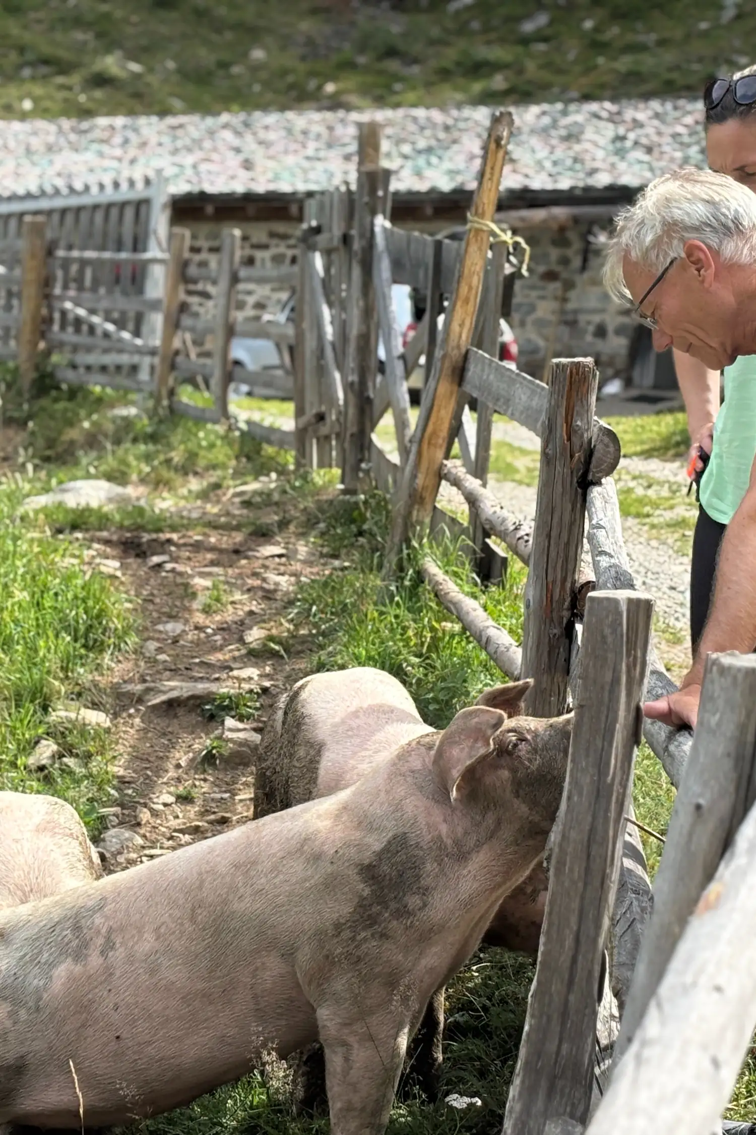 Geführte Wanderung zur Fartleisalm