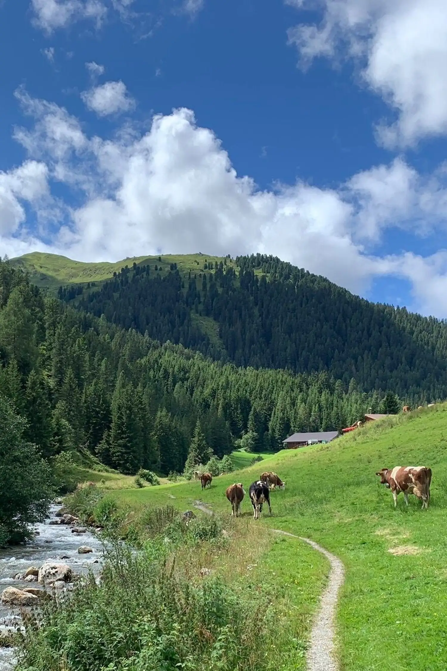 Das Krummbachtal