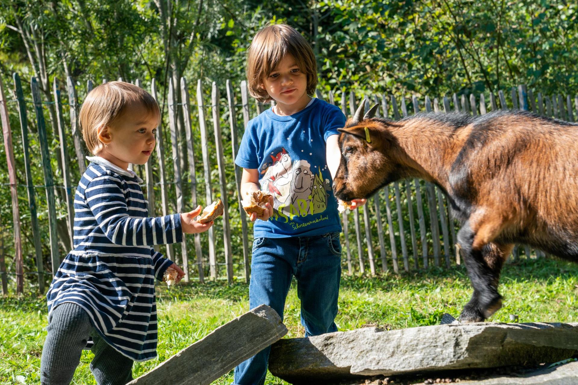 Kinder Tageshort