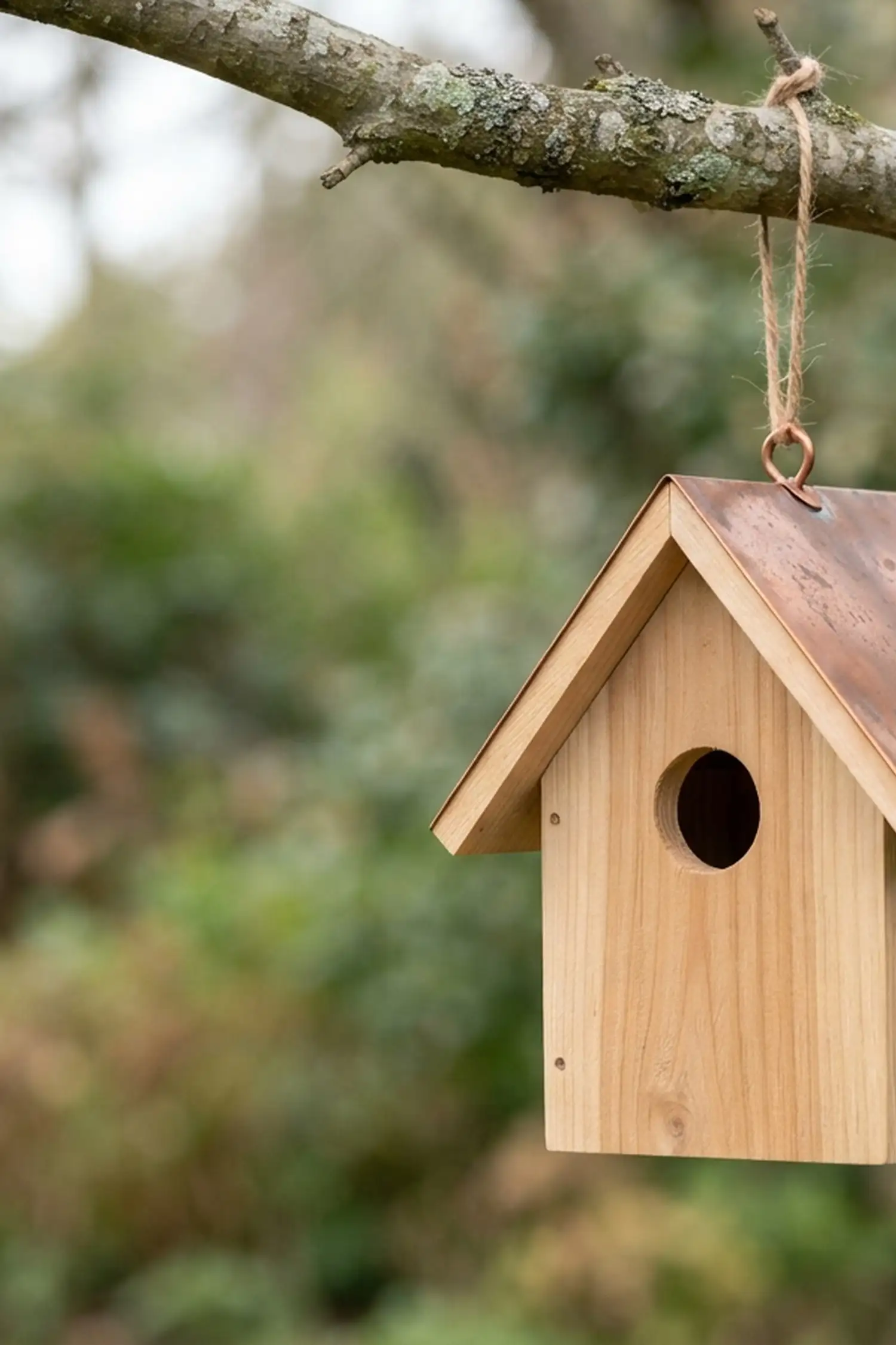 Vogelhäuschen basteln und anmalen 7+