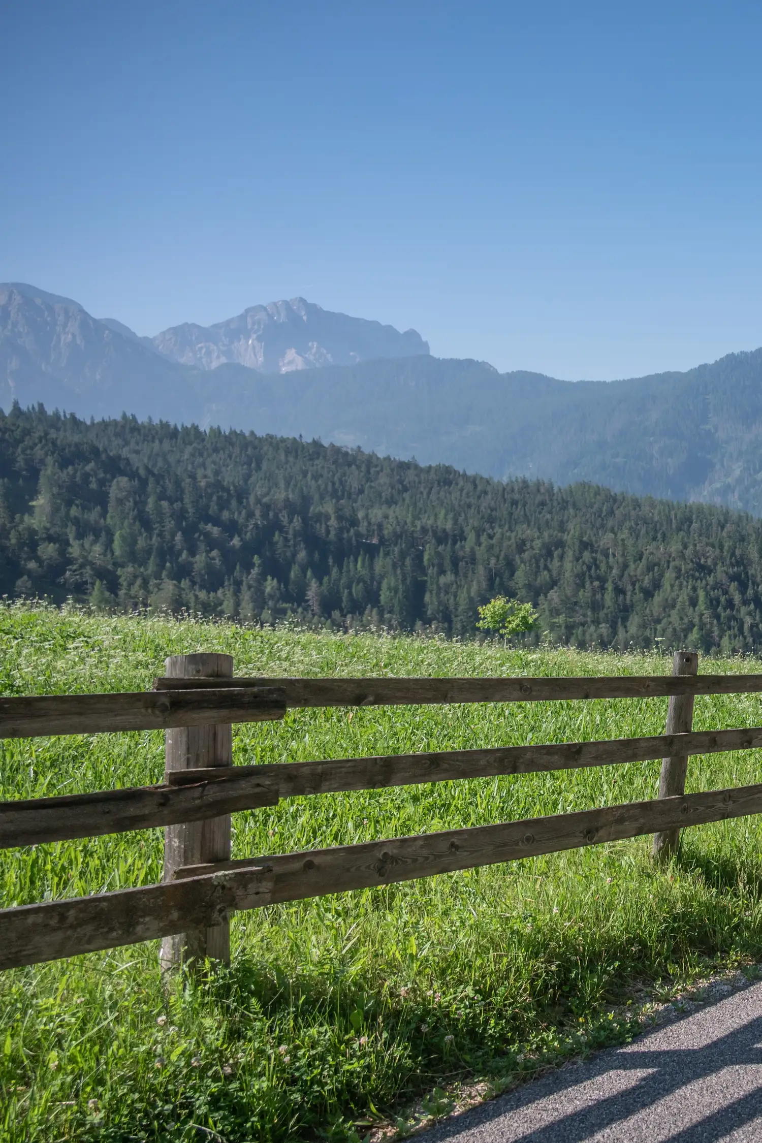 Summer hike from San Vigilio to Passo Furcia